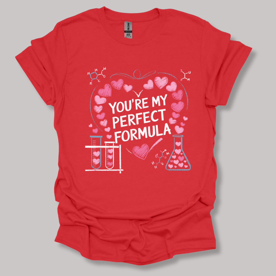 You're My Perfect Formula T-shirt