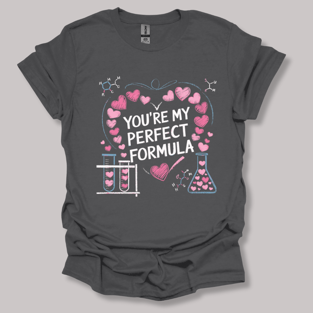 You're My Perfect Formula T-shirt