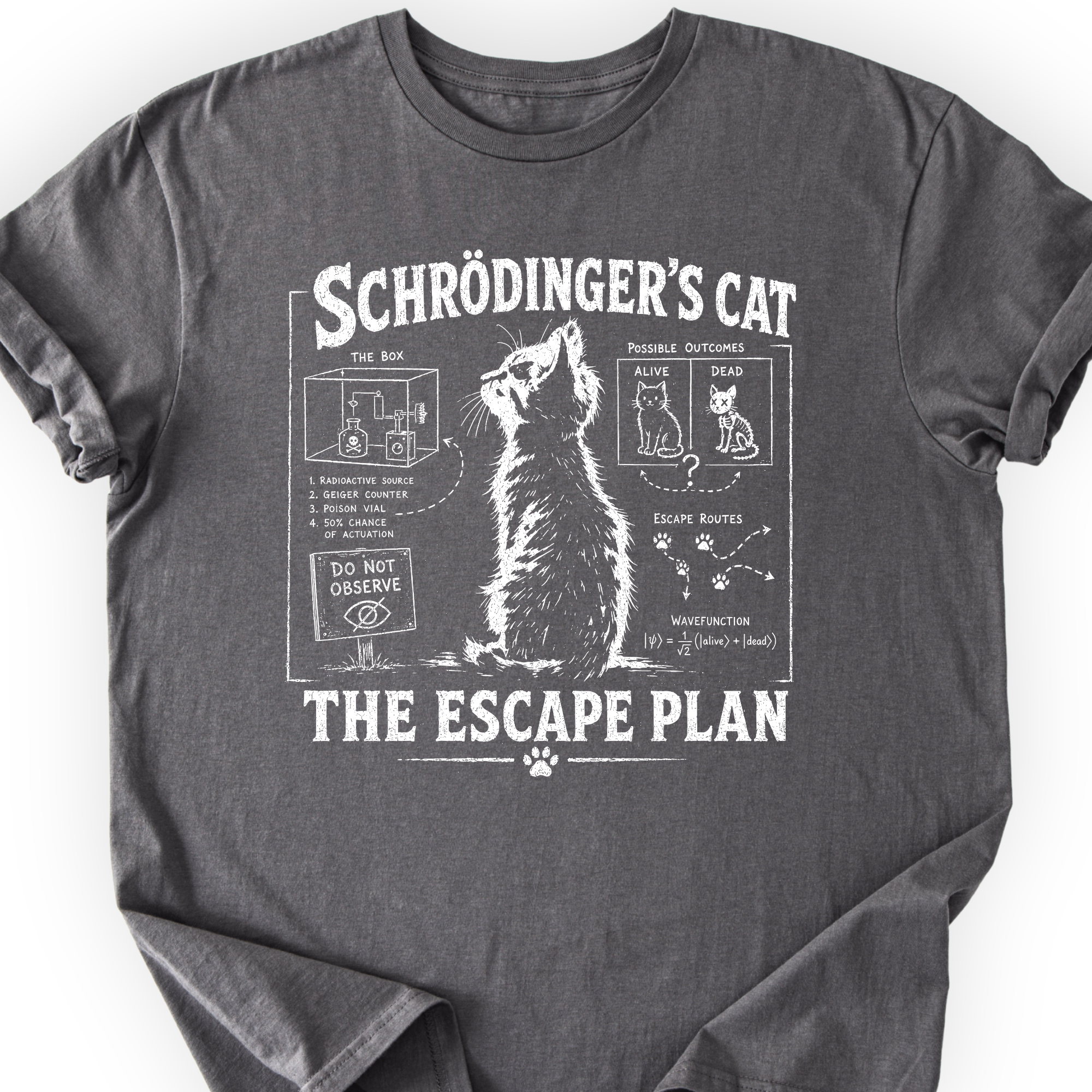 Schrödinger's Cat T-Shirt Printify