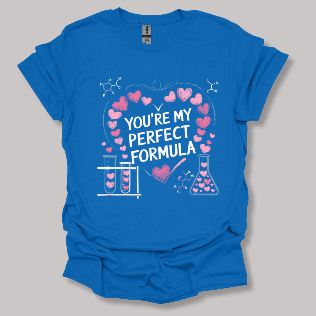 You're My Perfect Formula T-shirt