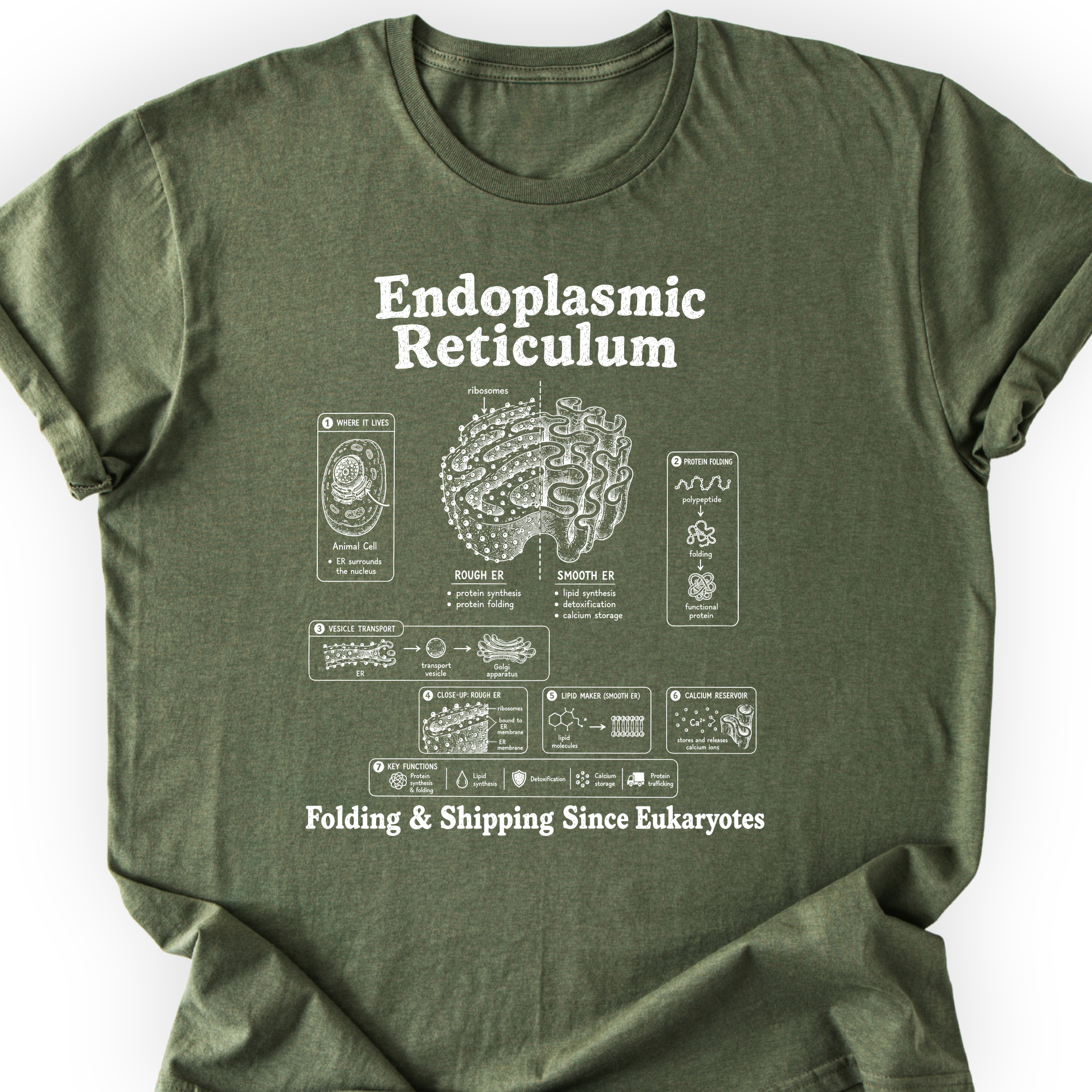 Endoplasmic Reticulum T-Shirt — Scientist Apparel