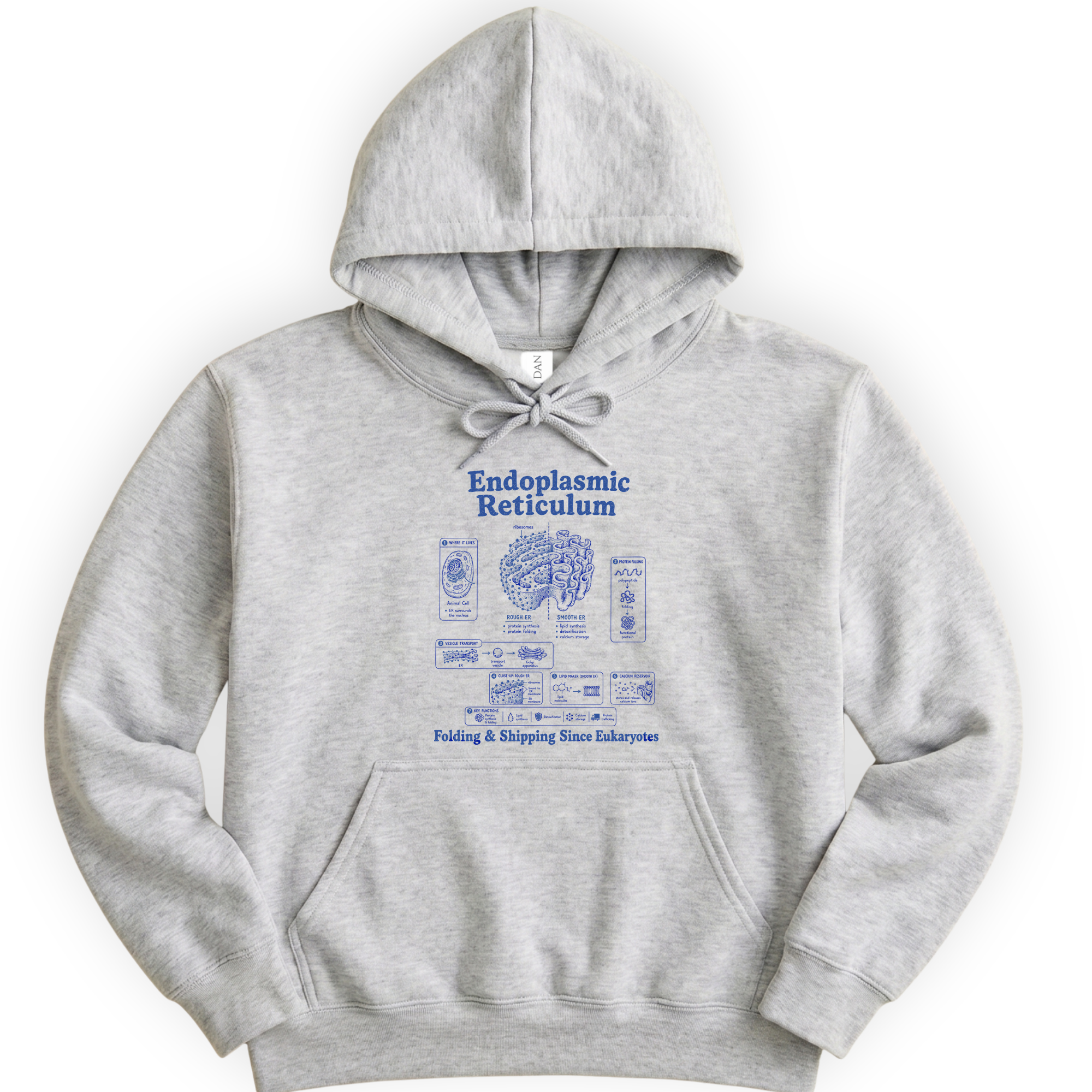 Endoplasmic Reticulum hoodie — Ash