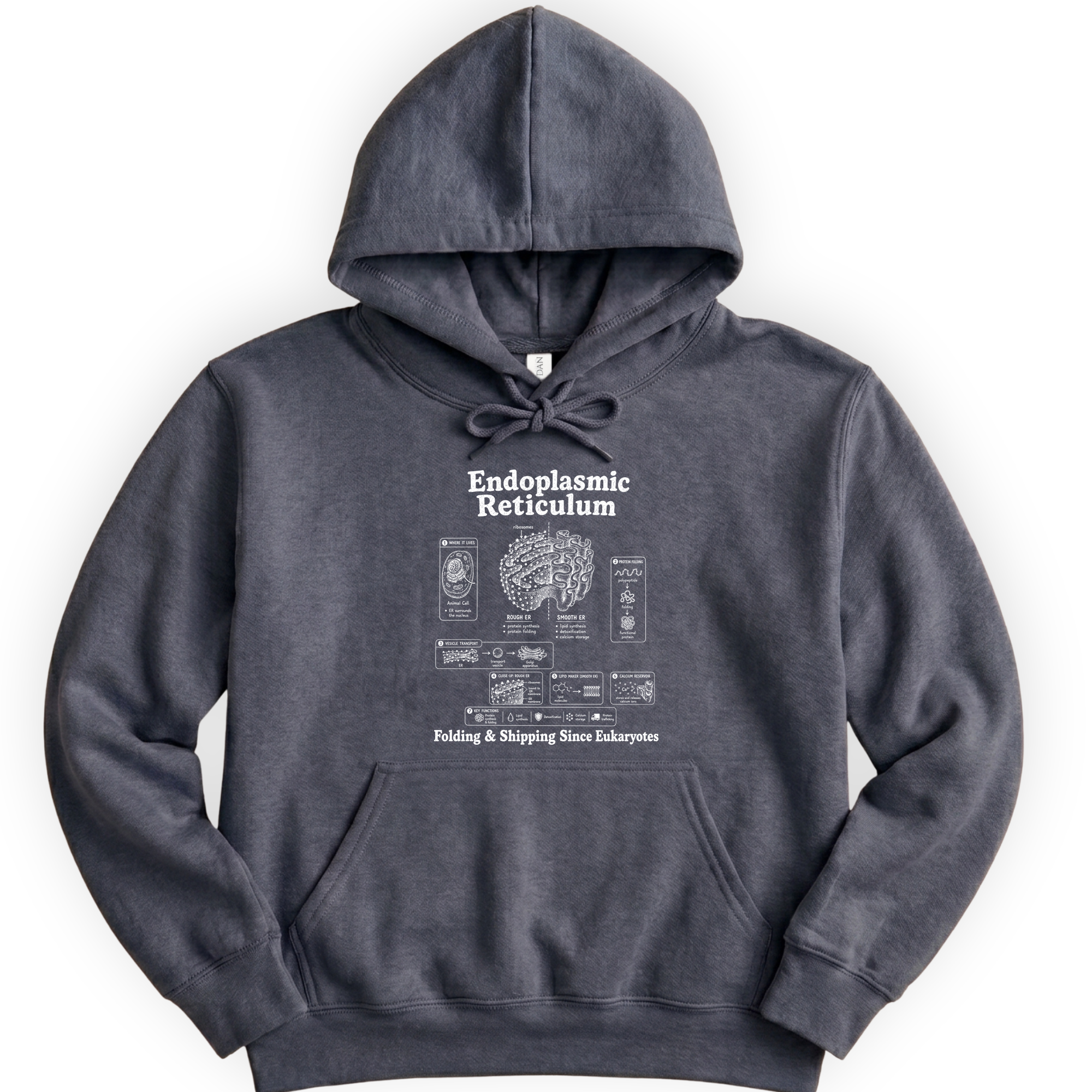 Endoplasmic Reticulum hoodie — Dark Heather