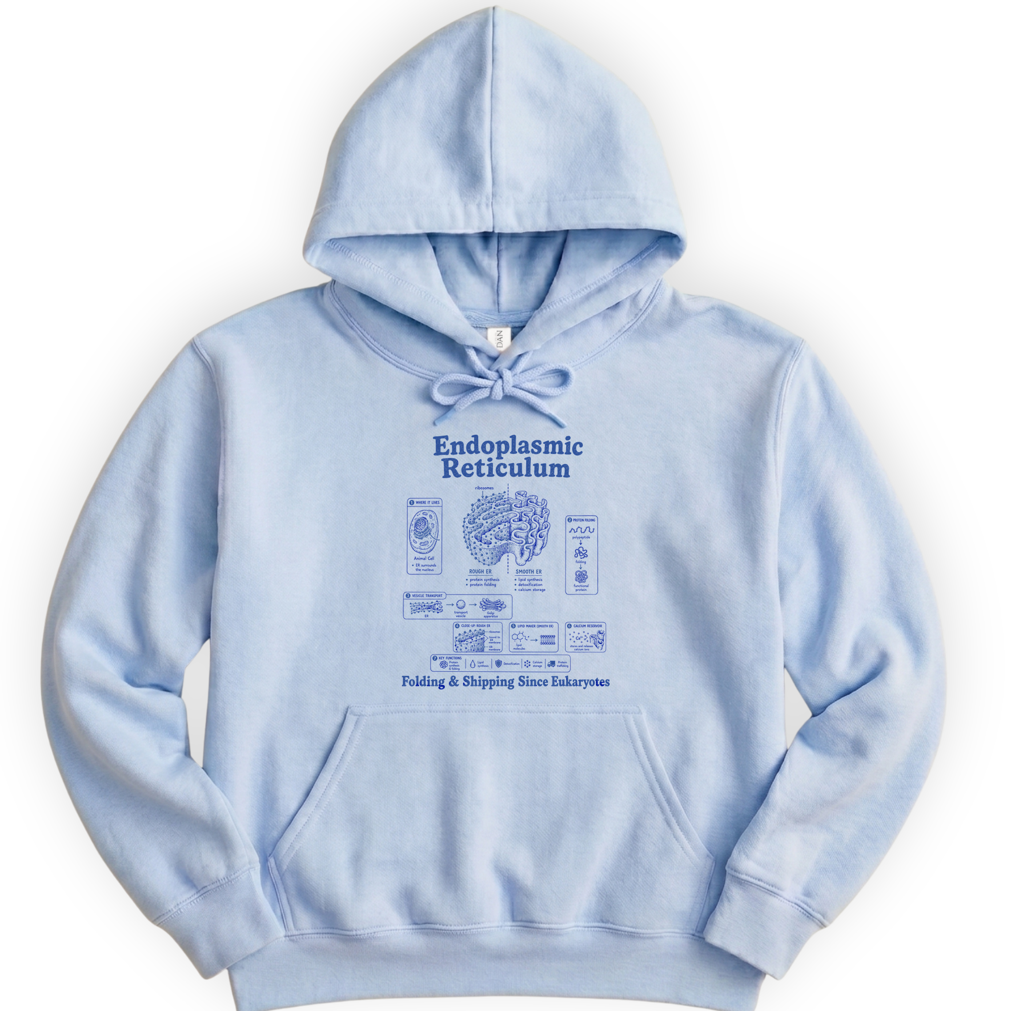 Endoplasmic Reticulum hoodie — Light Blue