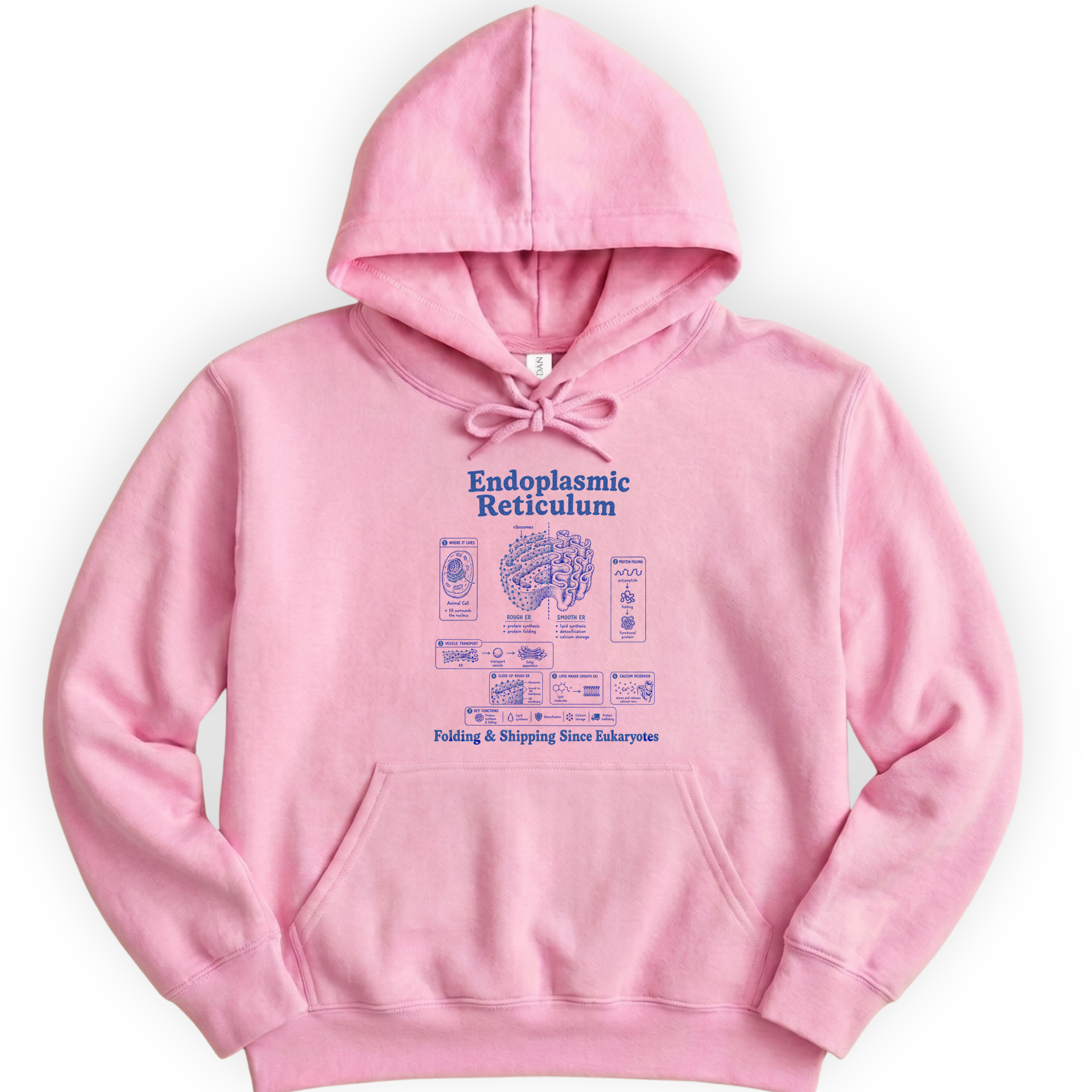 Endoplasmic Reticulum hoodie — Light Pink