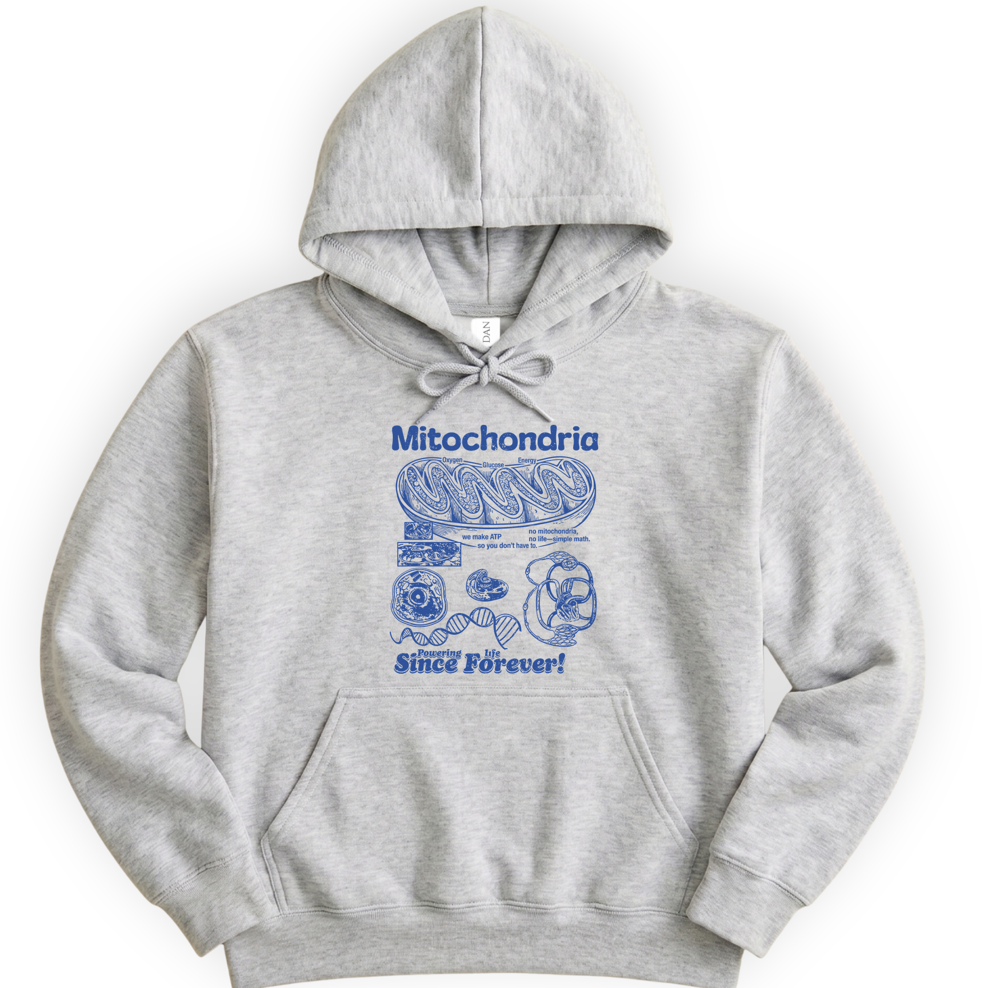 Mitochondria Powering Life hoodie — Ash