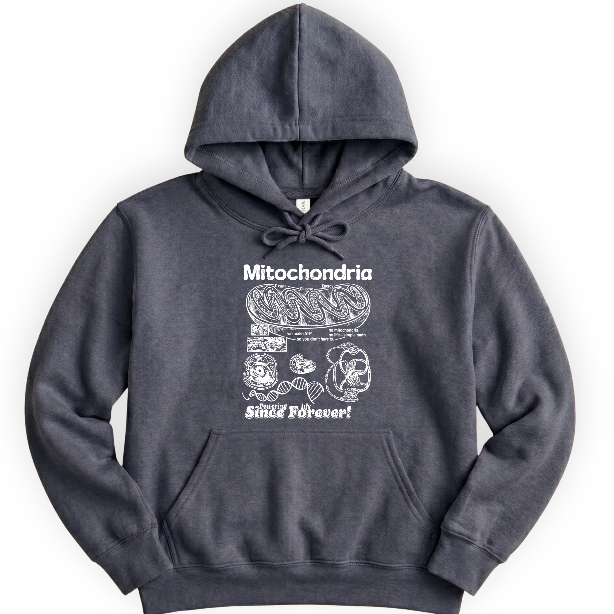 Mitochondria Powering Life hoodie — Dark Heather