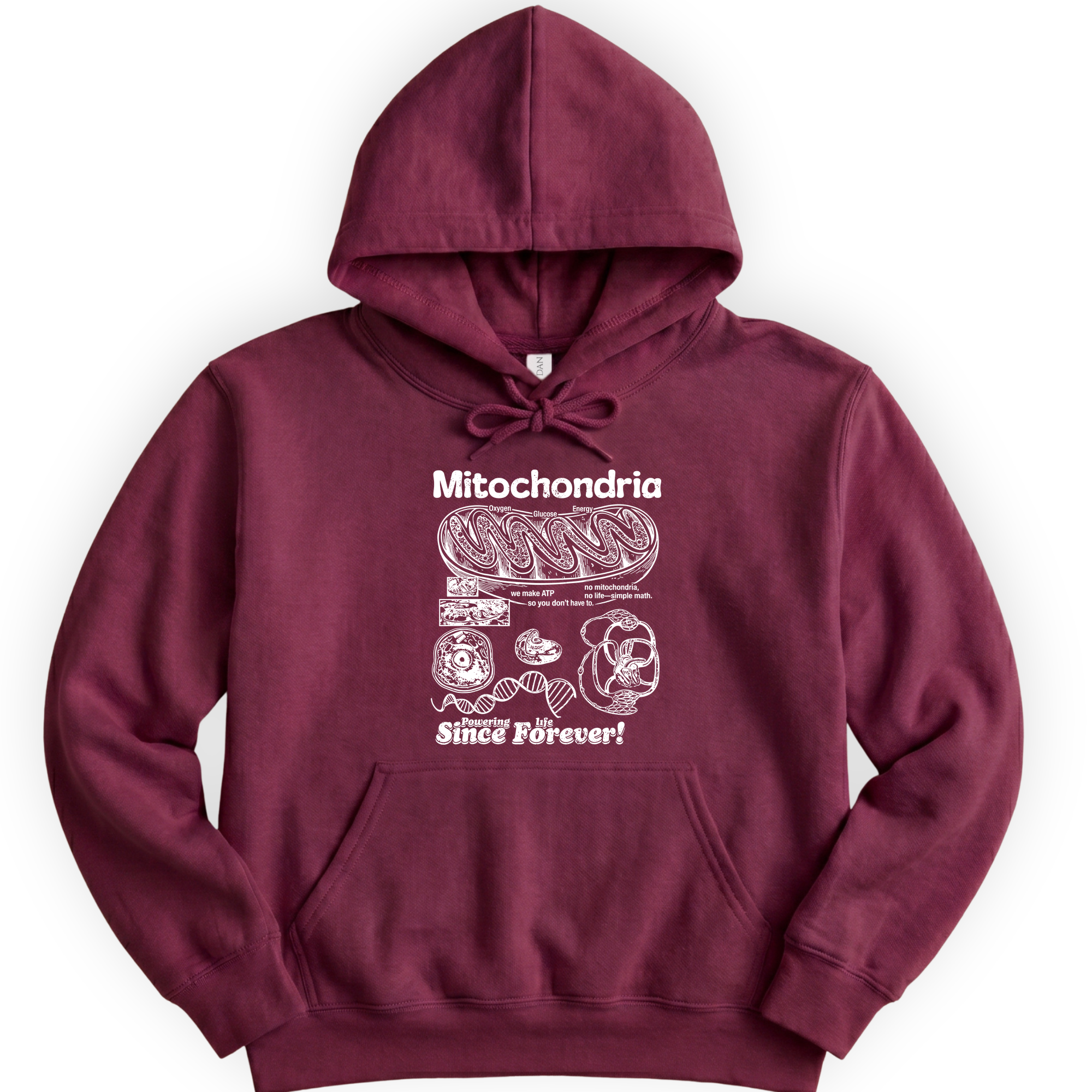 Mitochondria Powering Life hoodie — Maroon