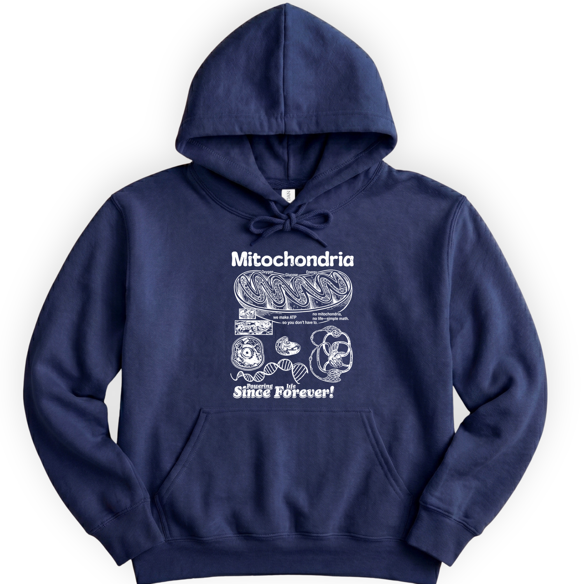 Mitochondria Powering Life hoodie — Navy