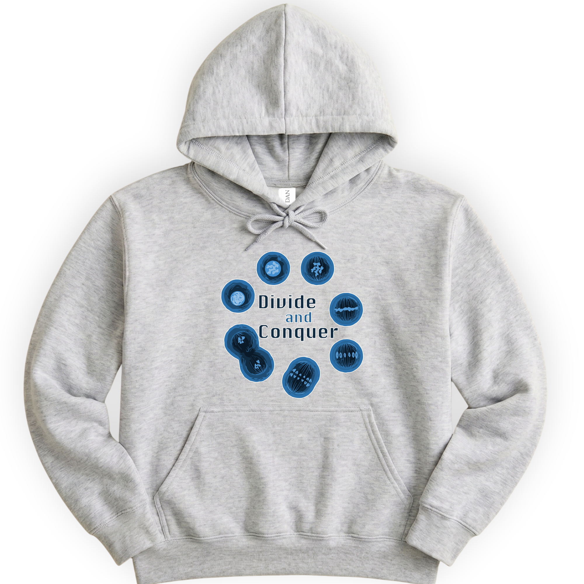 Mitosis Divide and Conquer hoodie — Ash