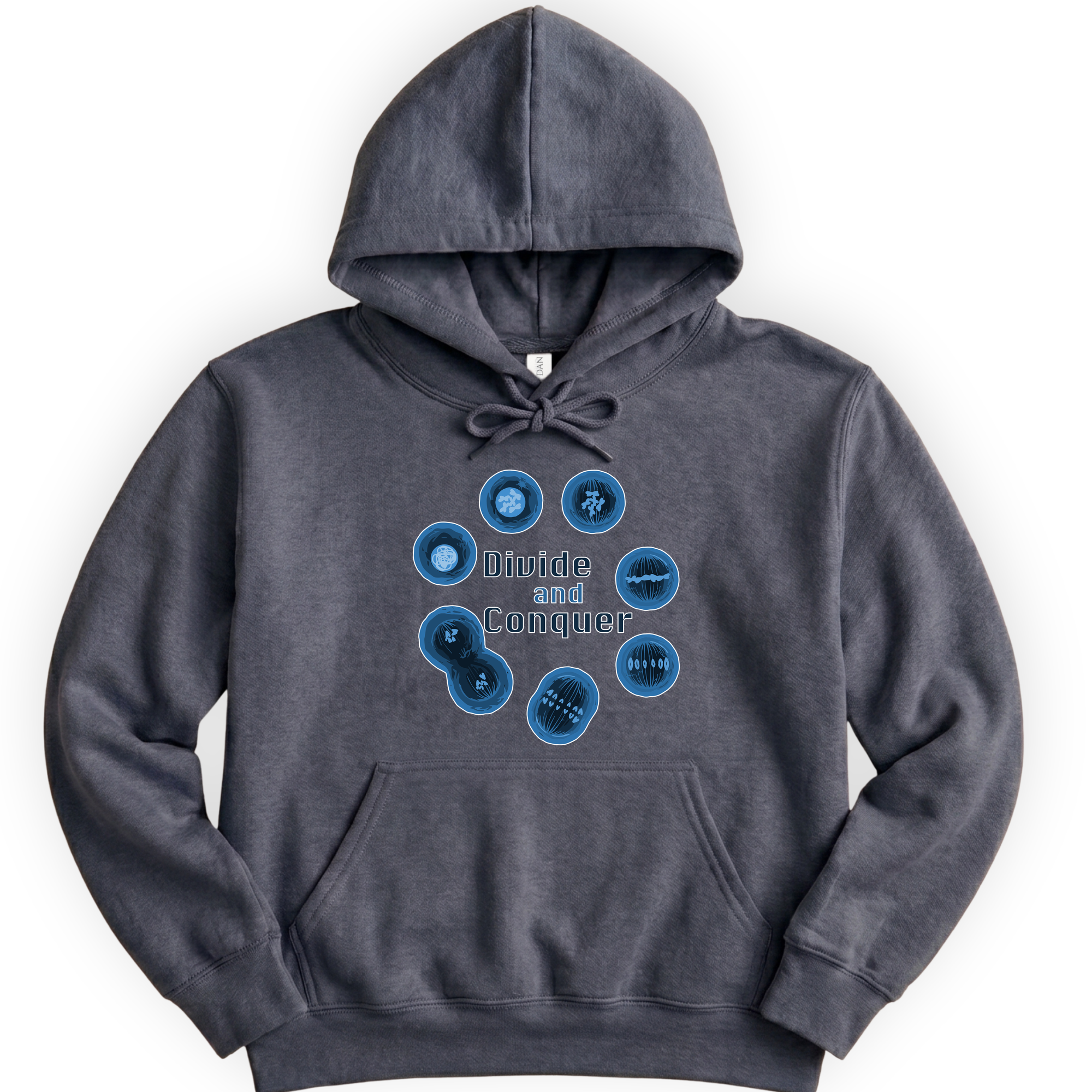 Mitosis Divide and Conquer hoodie — Dark Heather