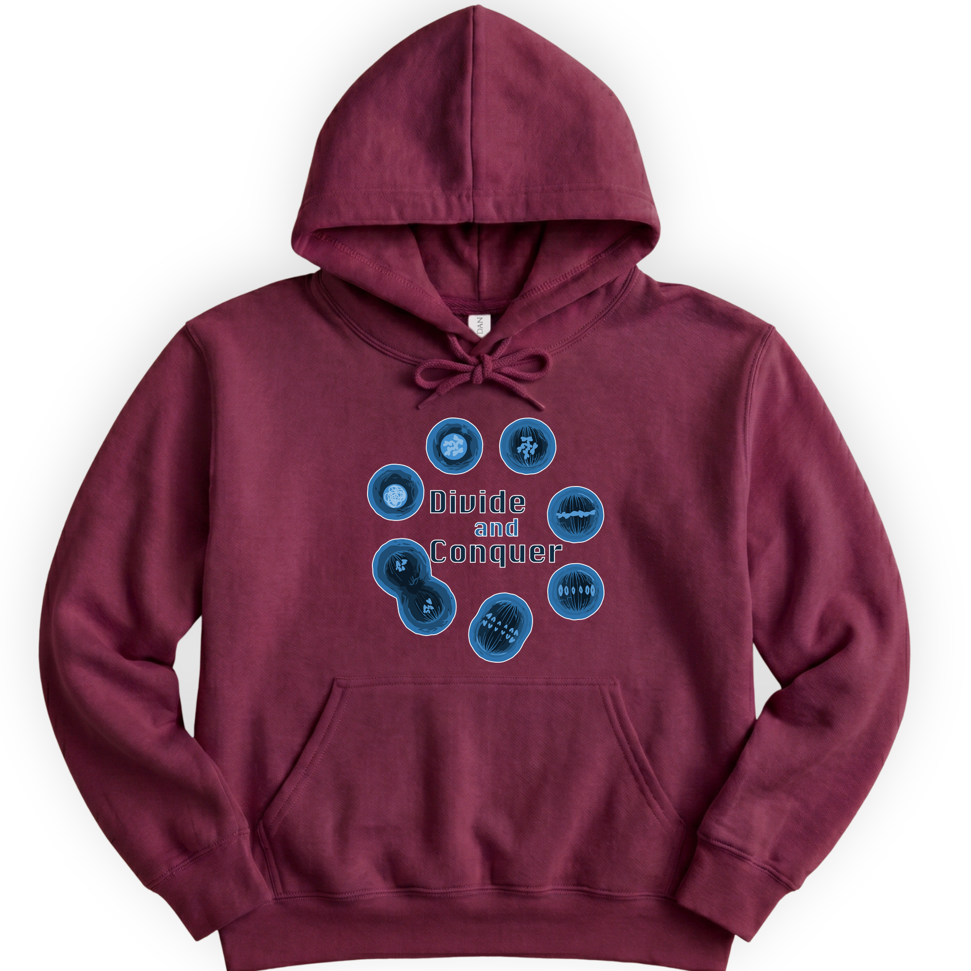 Mitosis Divide and Conquer hoodie — Maroon
