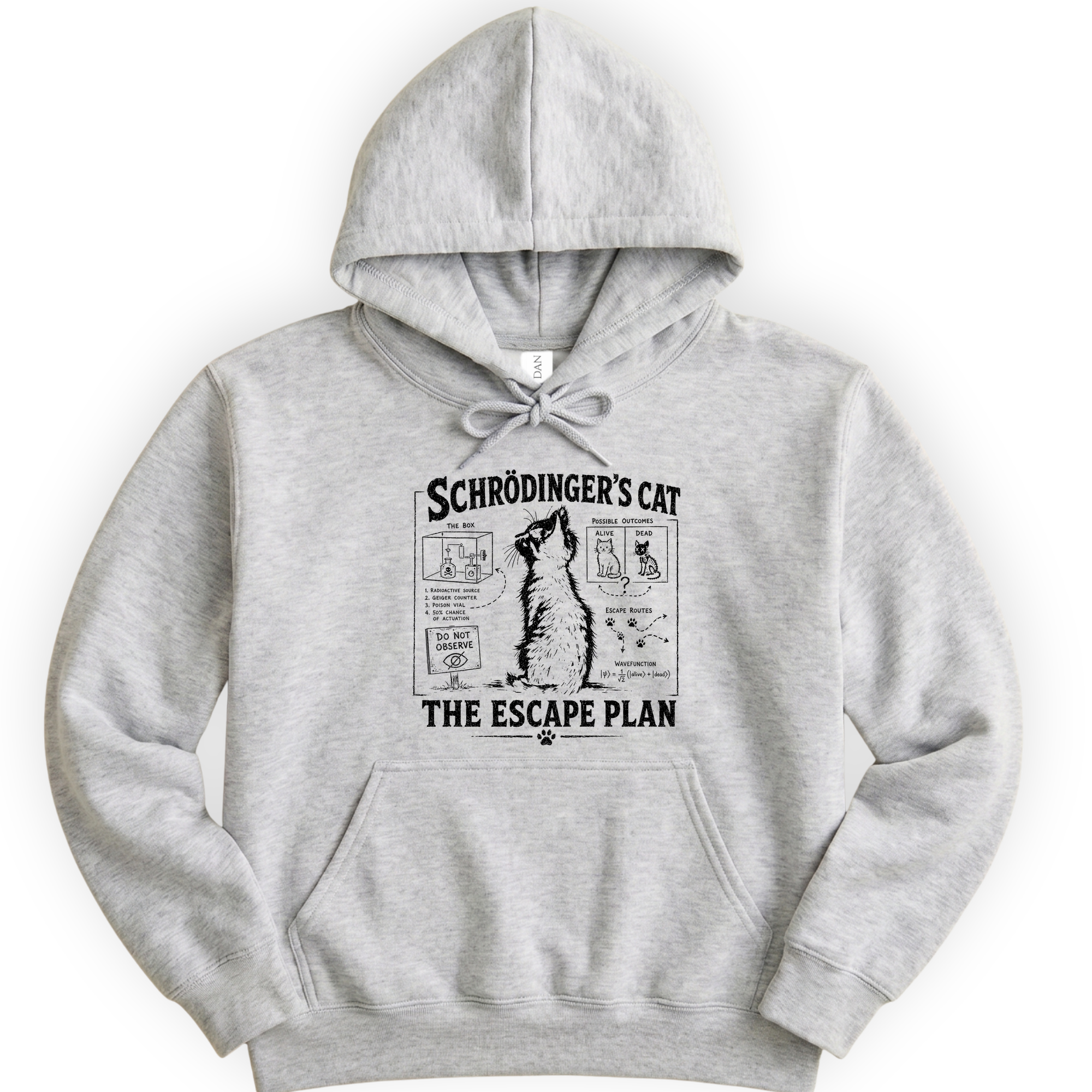 Schrödinger's Cat hoodie — Ash