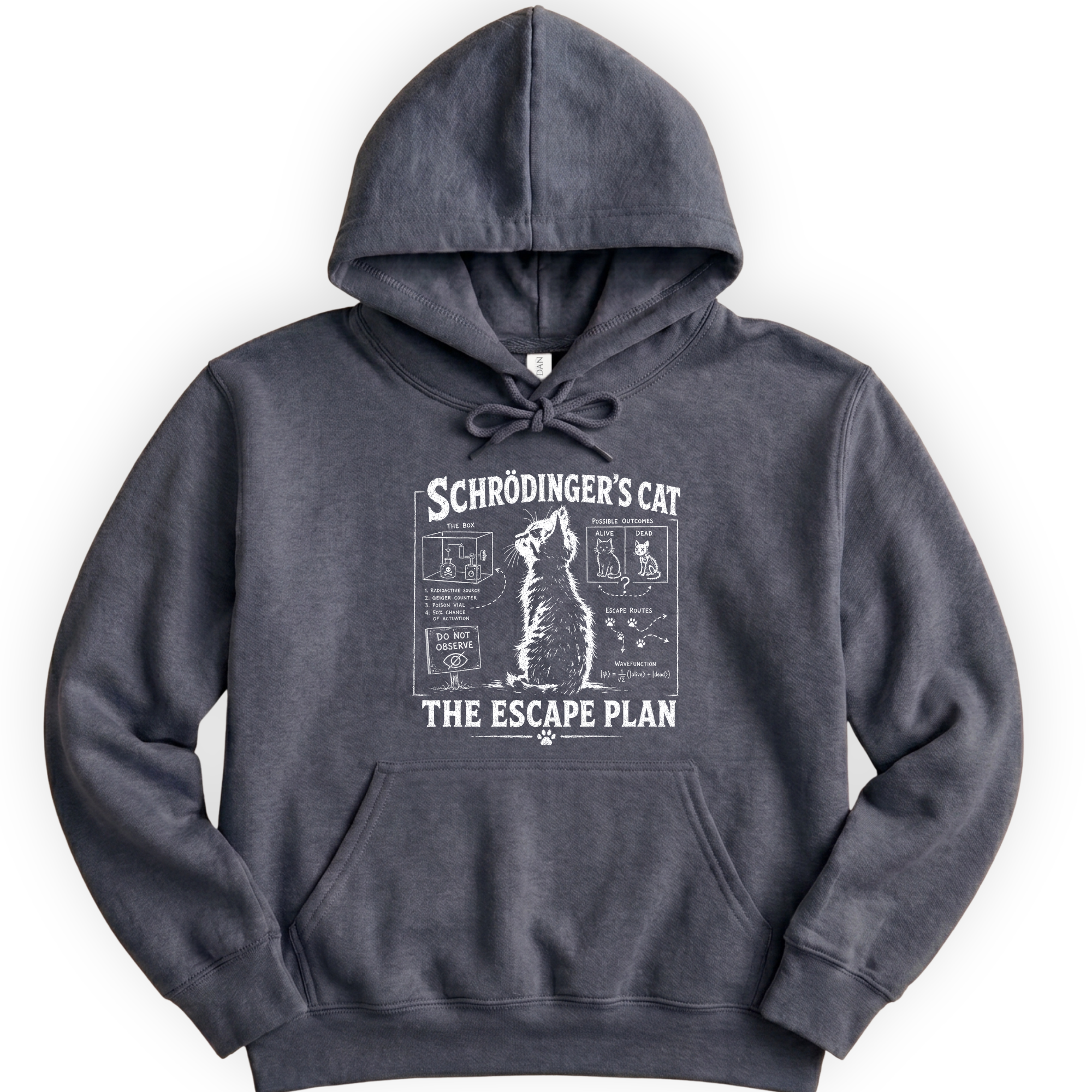 Schrödinger's Cat hoodie — Dark Heather