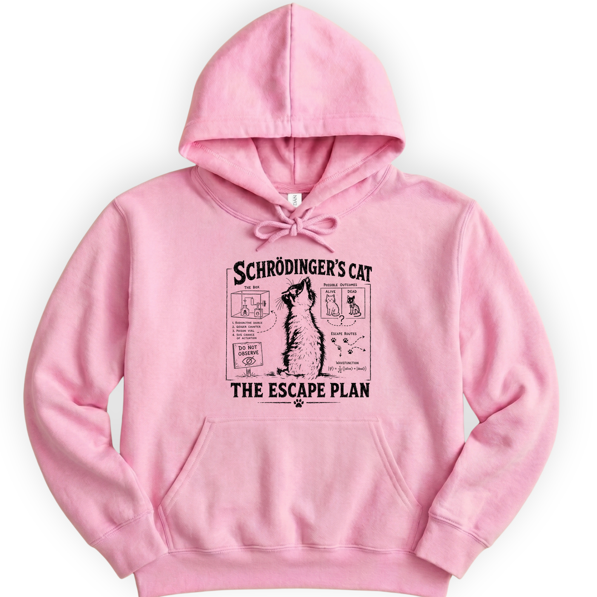 Schrödinger's Cat hoodie — Light Pink