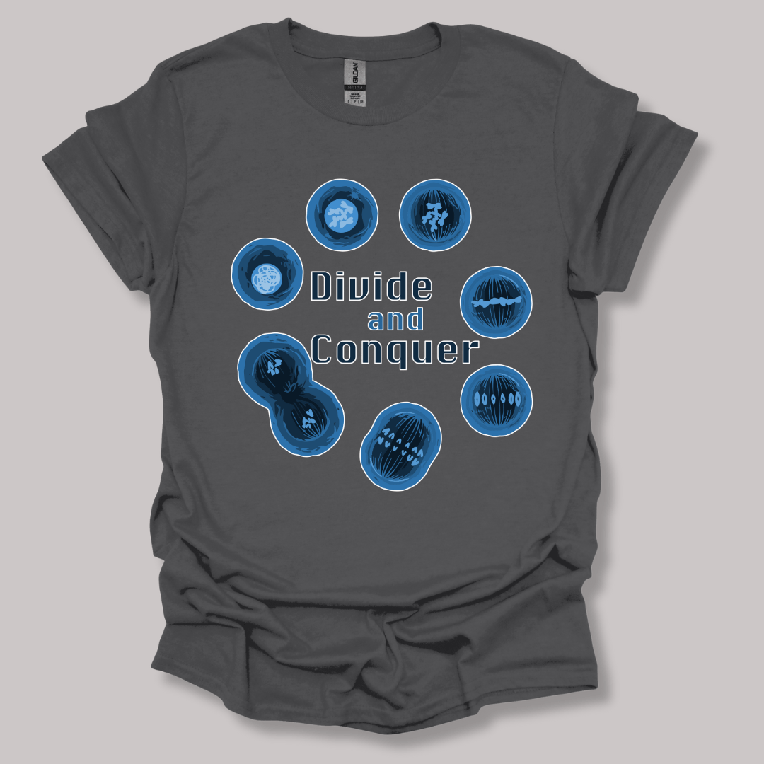 Mitosis Divide and Conquer T-shirt Charcoal / S