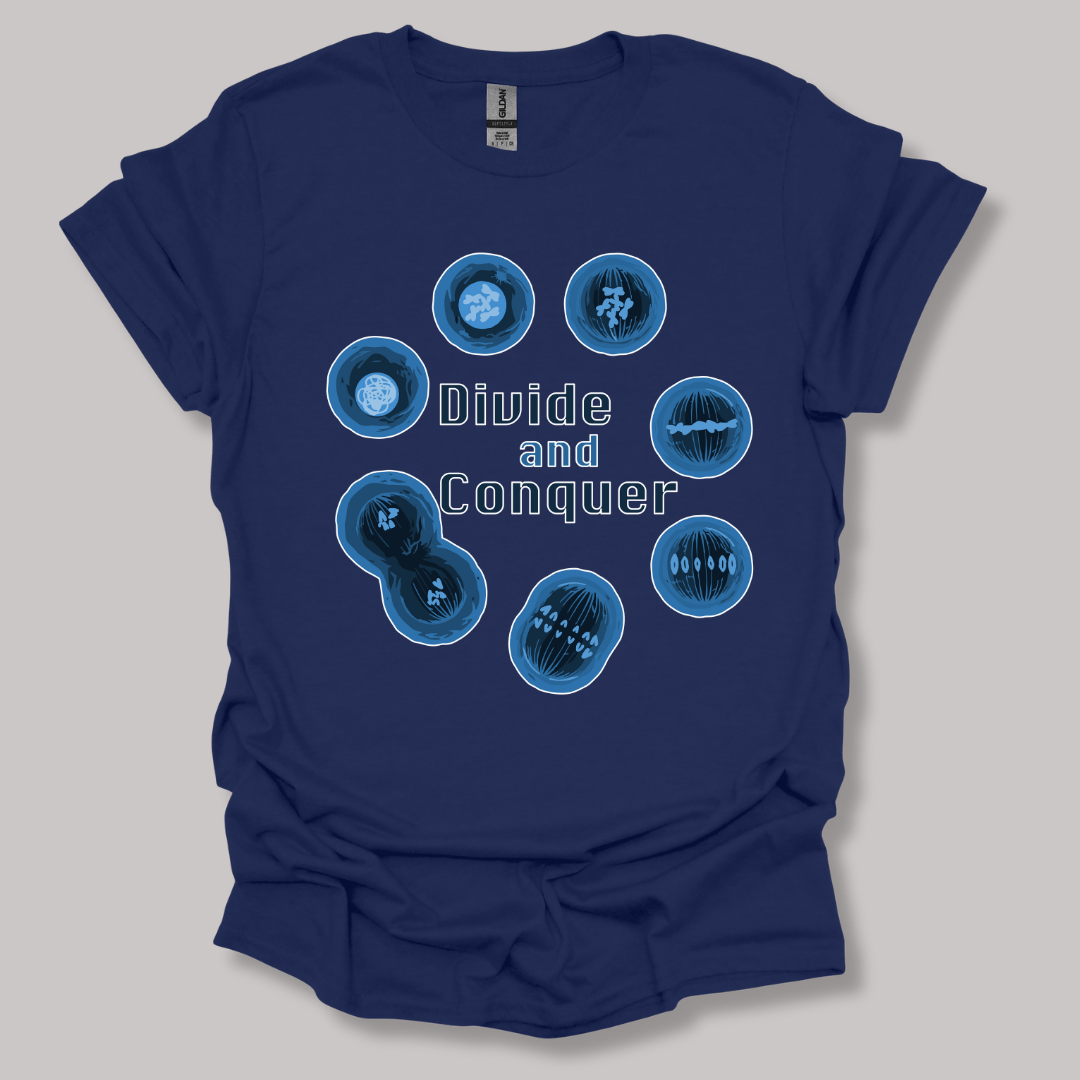 Mitosis Divide and Conquer T-shirt Navy / S