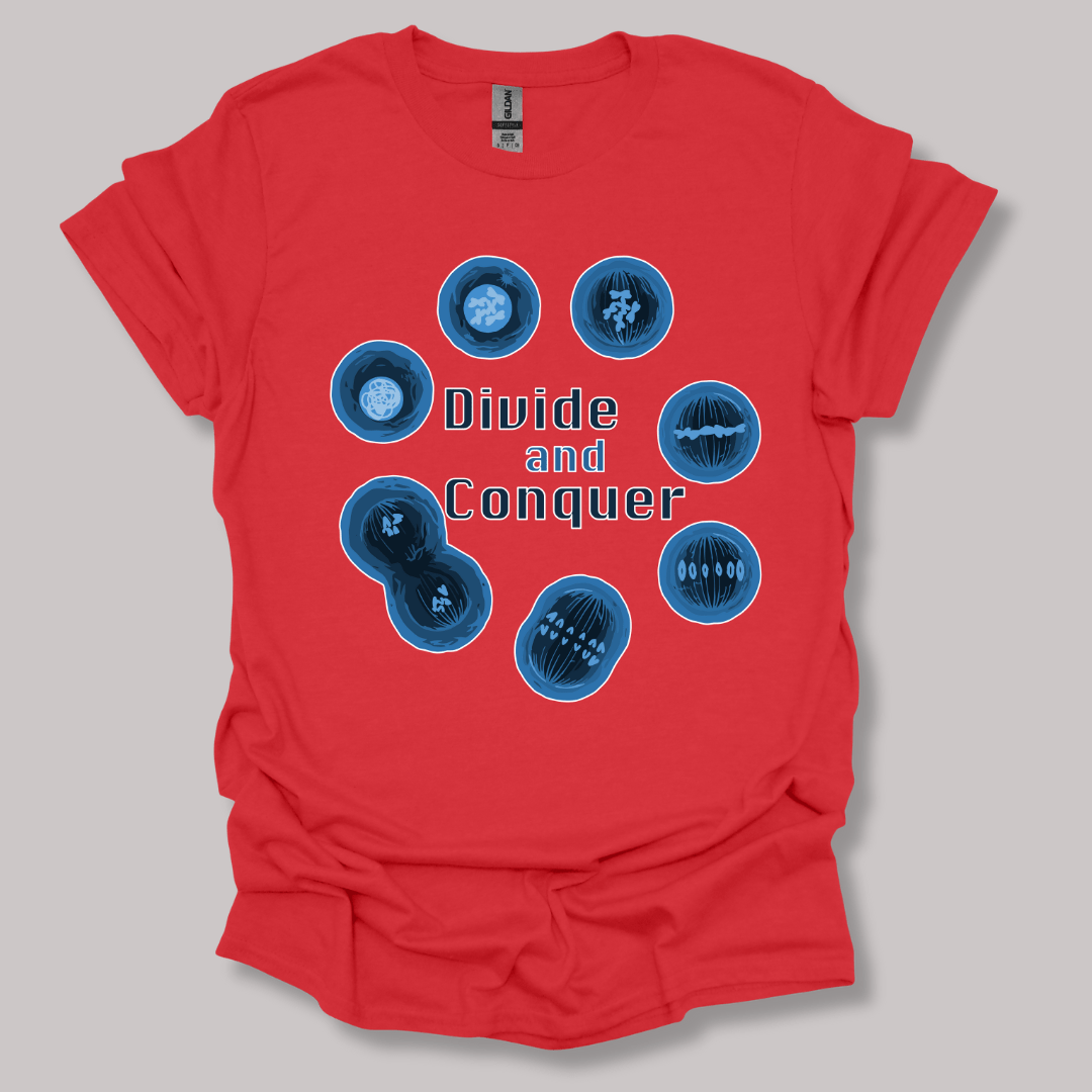 Mitosis Divide and Conquer T-shirt Red / S