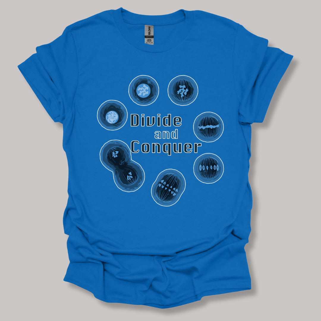 Mitosis Divide and Conquer T-shirt Royal / S