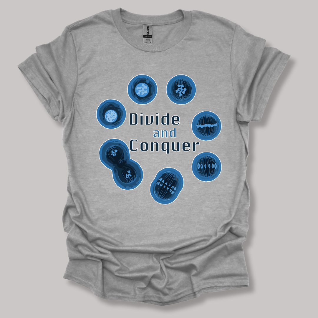 Mitosis Divide and Conquer T-shirt Sports Grey / S