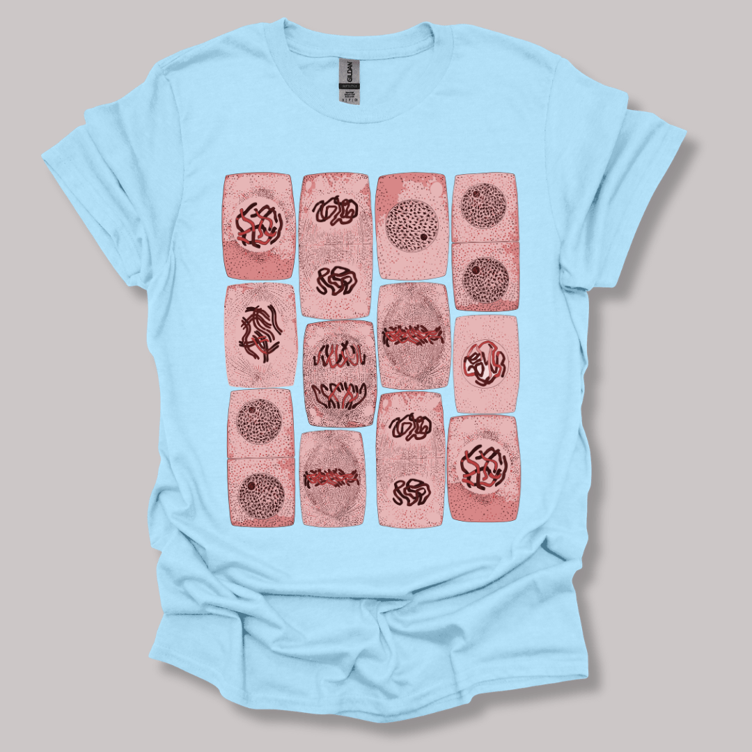 Mitosis pattern T-shirt Light Blue / S