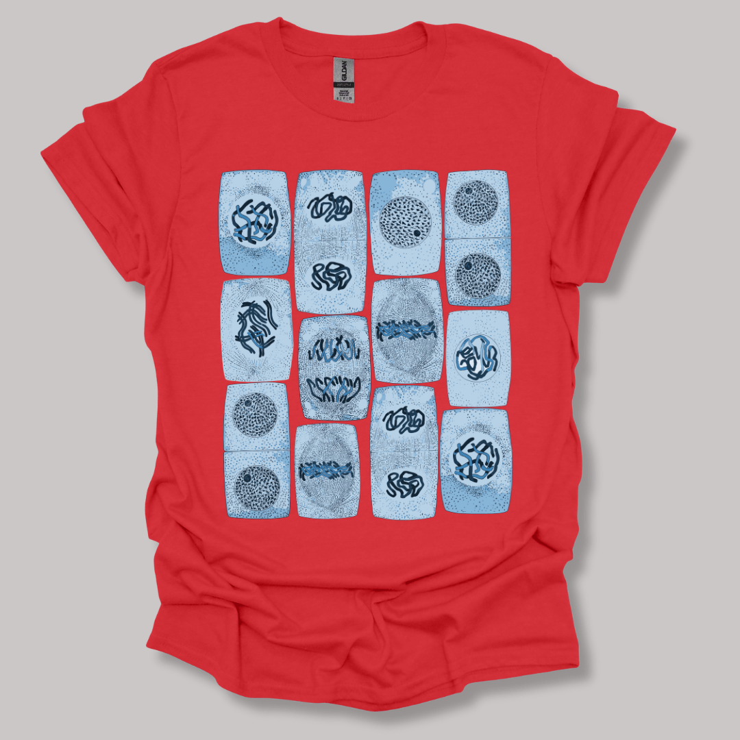Mitosis pattern T-shirt Red / S