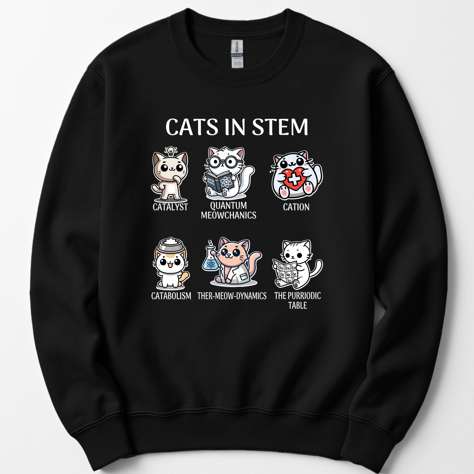 Cats In STEM sweatshirt — Black