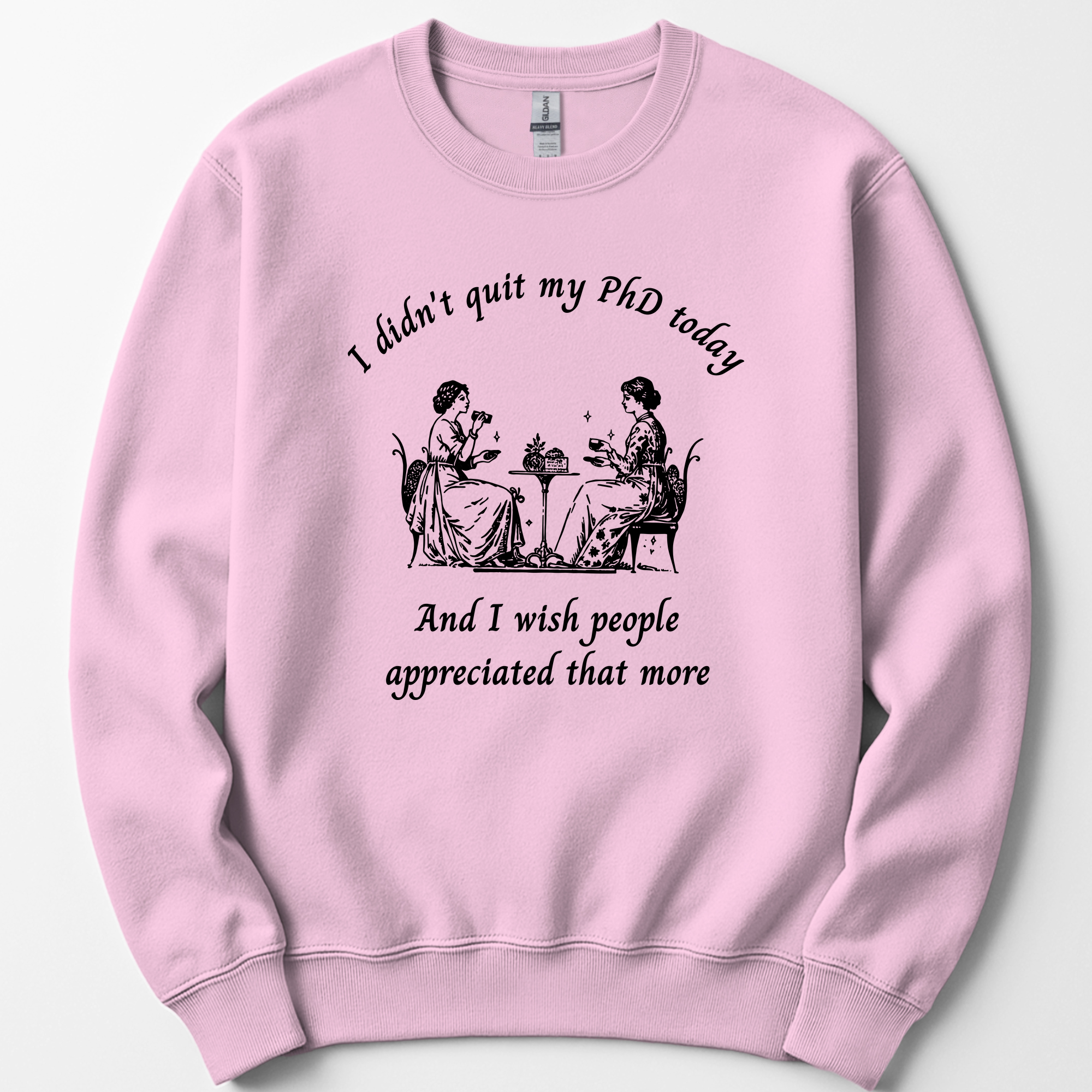 I Didn't Quit My PhD Today sweatshirt — Light Pink