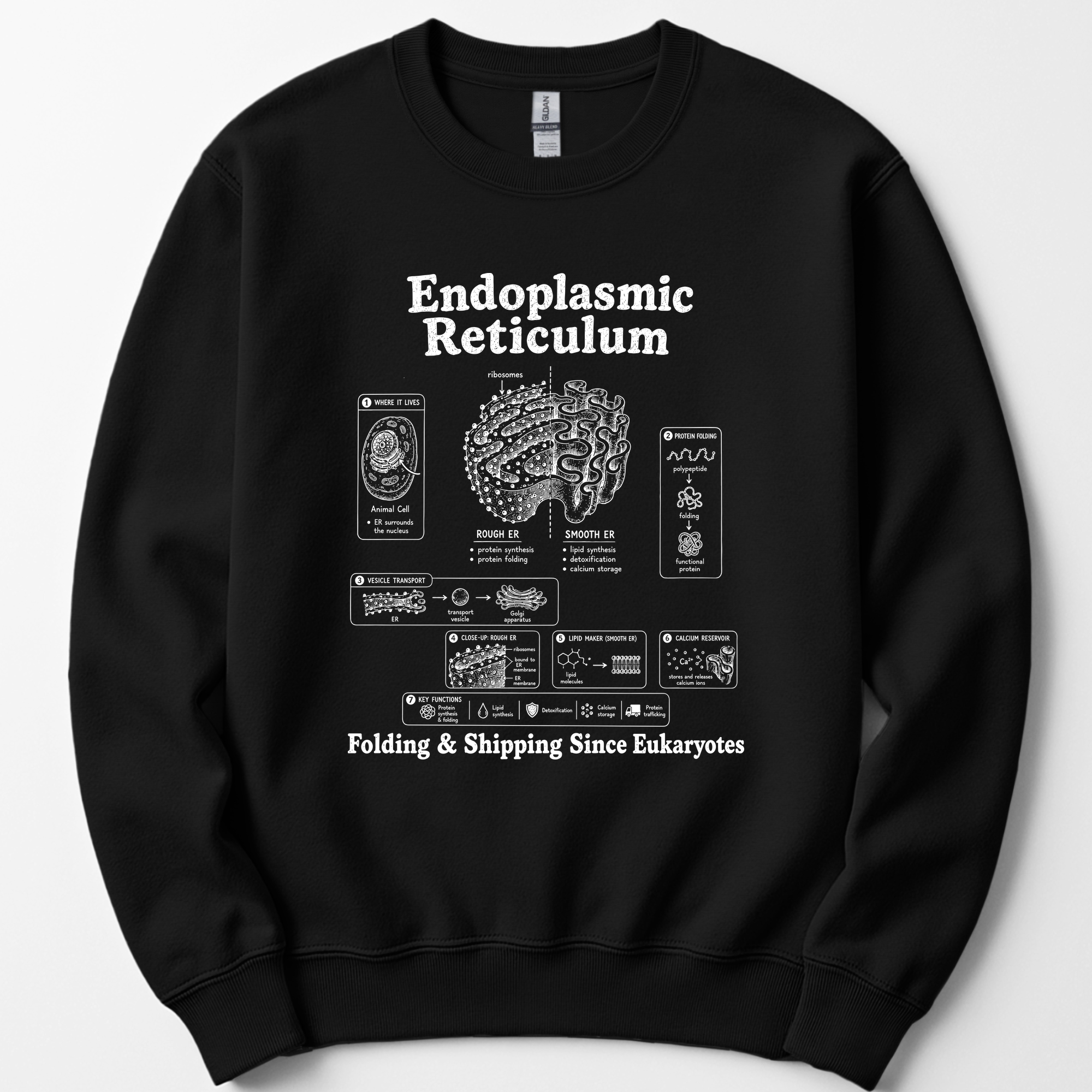 Endoplasmic Reticulum sweatshirt — Black