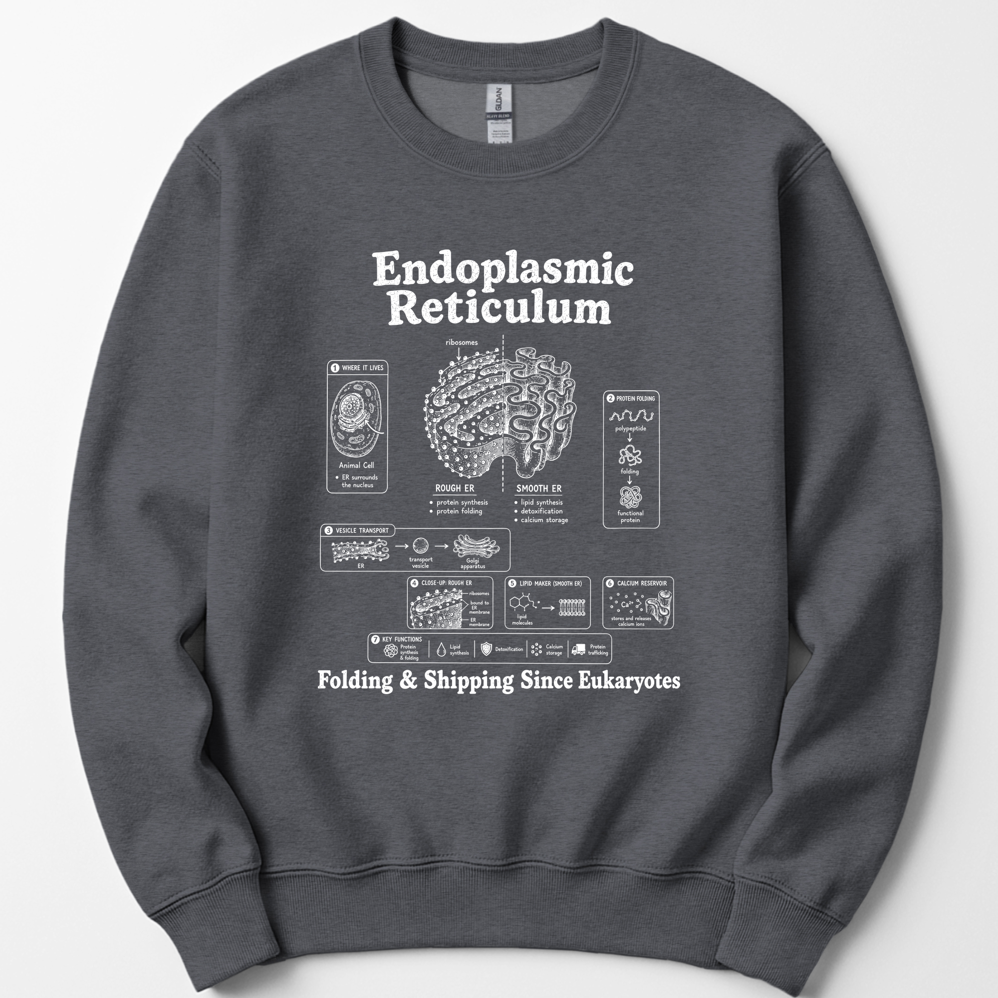 Endoplasmic Reticulum sweatshirt — Dark Heather