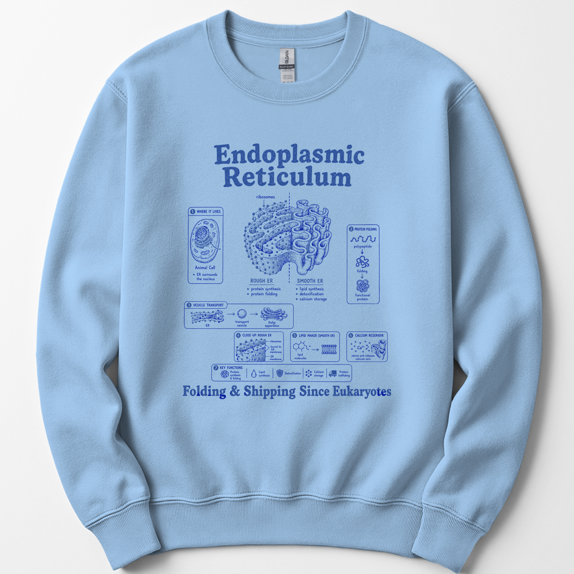 Endoplasmic Reticulum sweatshirt — Light Blue
