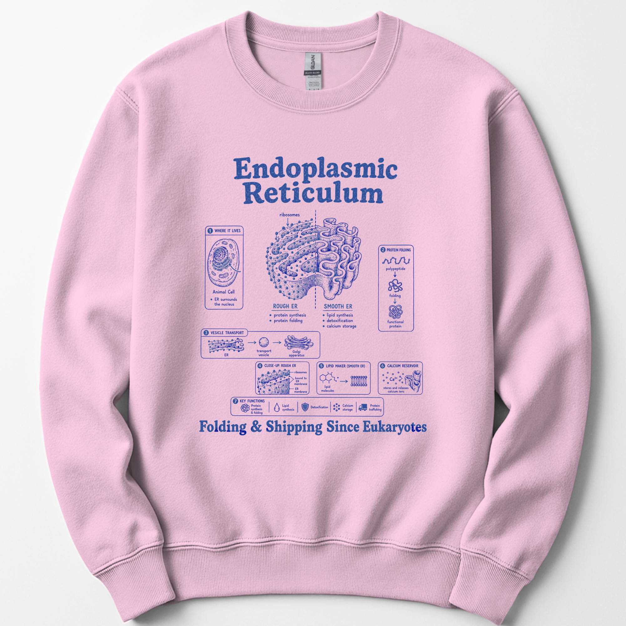 Endoplasmic Reticulum sweatshirt — Light Pink