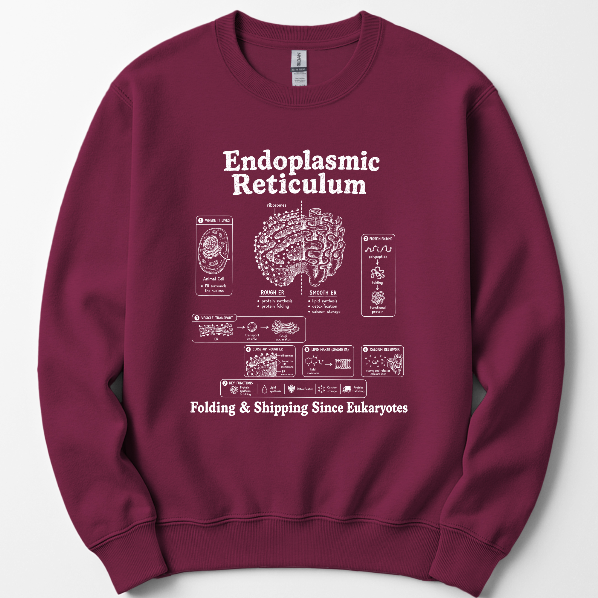 Endoplasmic Reticulum sweatshirt — Maroon