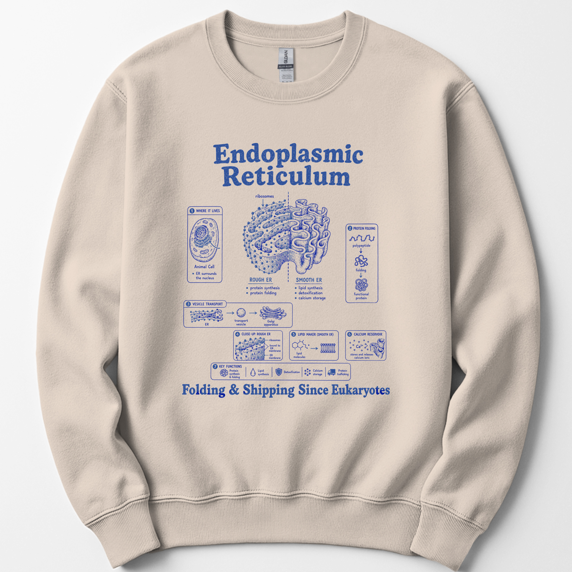 Endoplasmic Reticulum sweatshirt — Sand