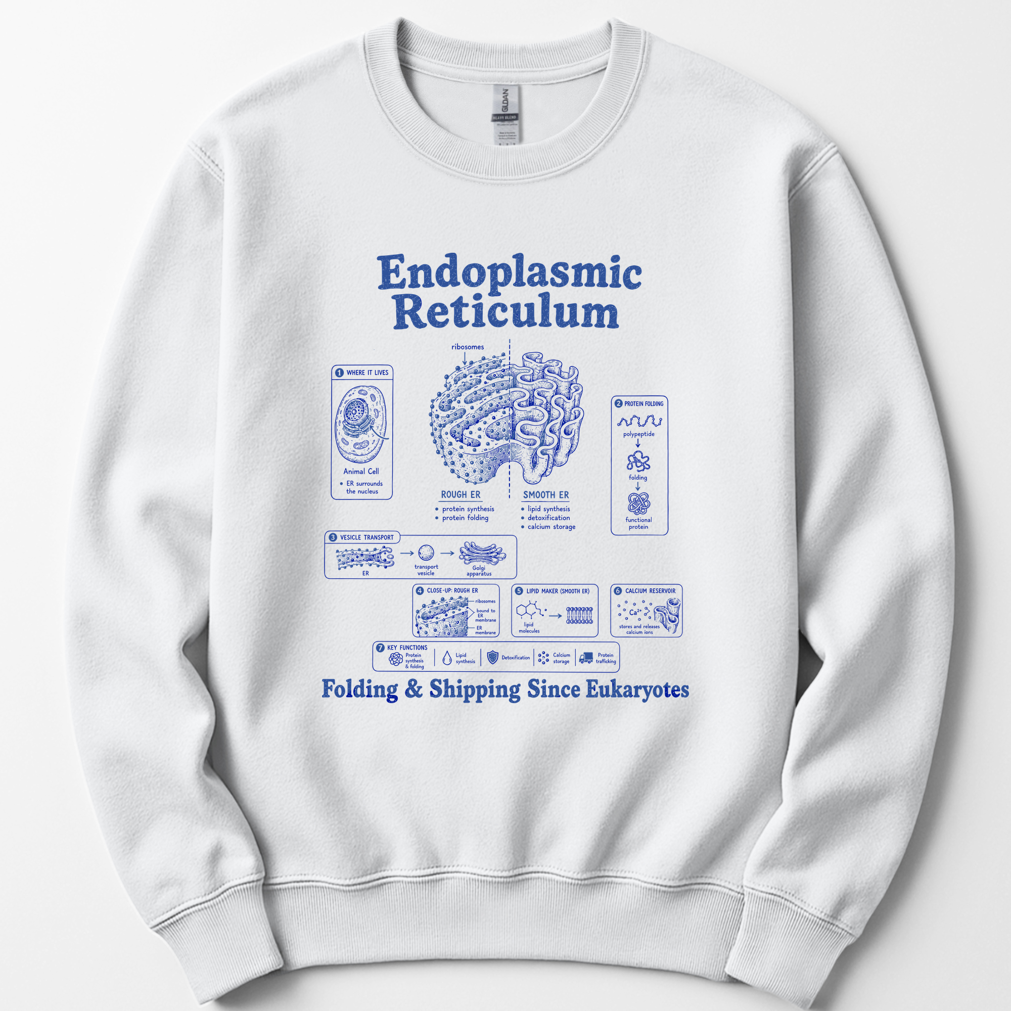 Endoplasmic Reticulum sweatshirt — White