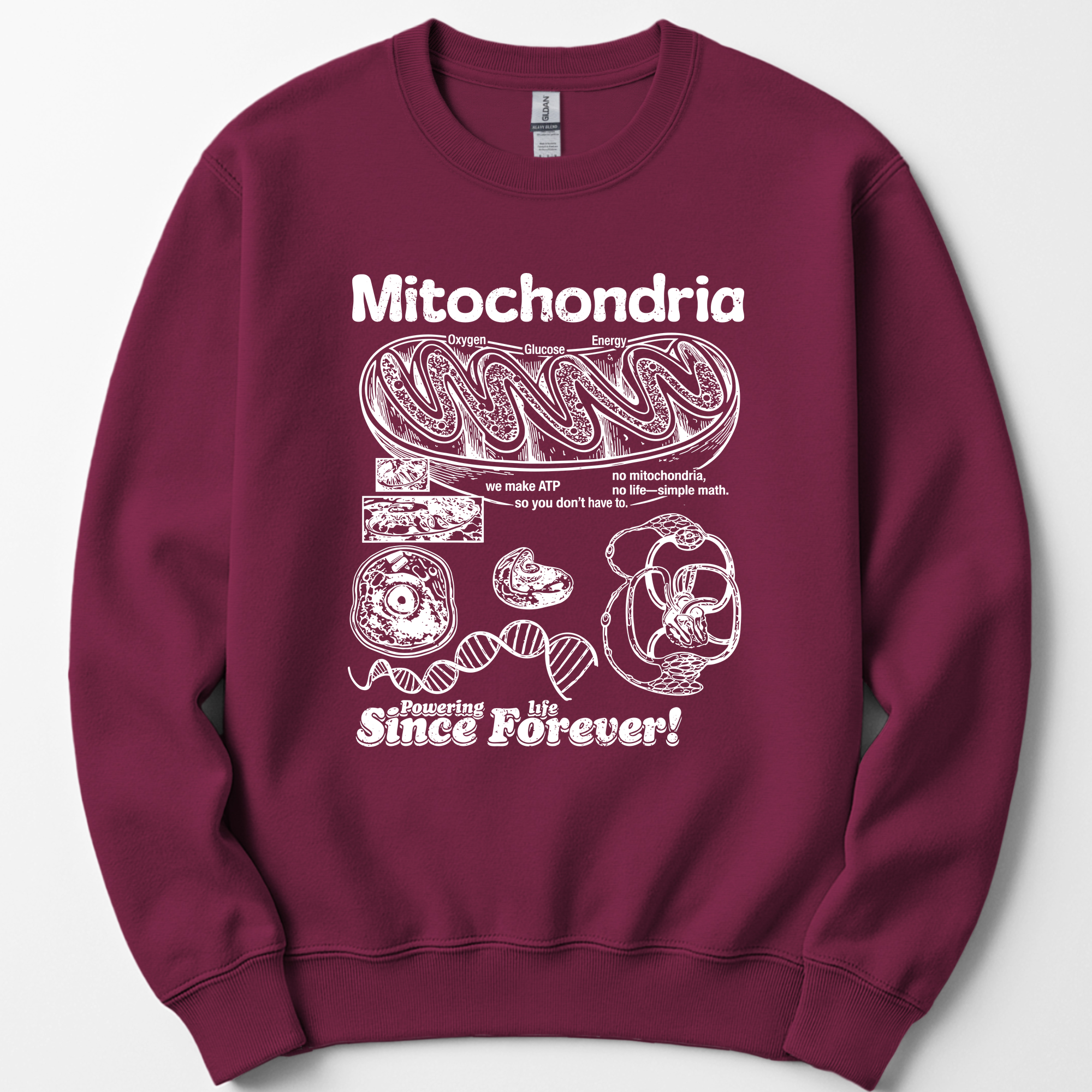 Mitochondria Powering Life sweatshirt — Maroon