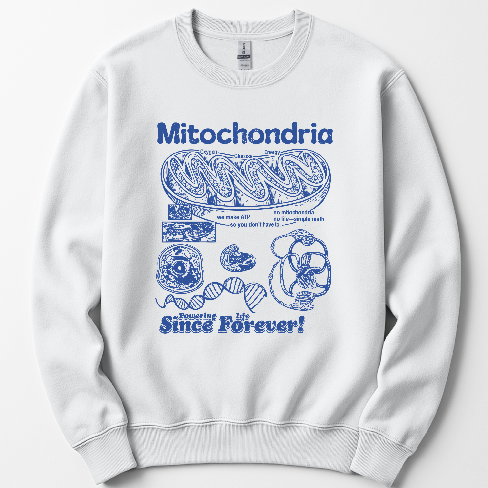 Mitochondria Powering Life sweatshirt — White