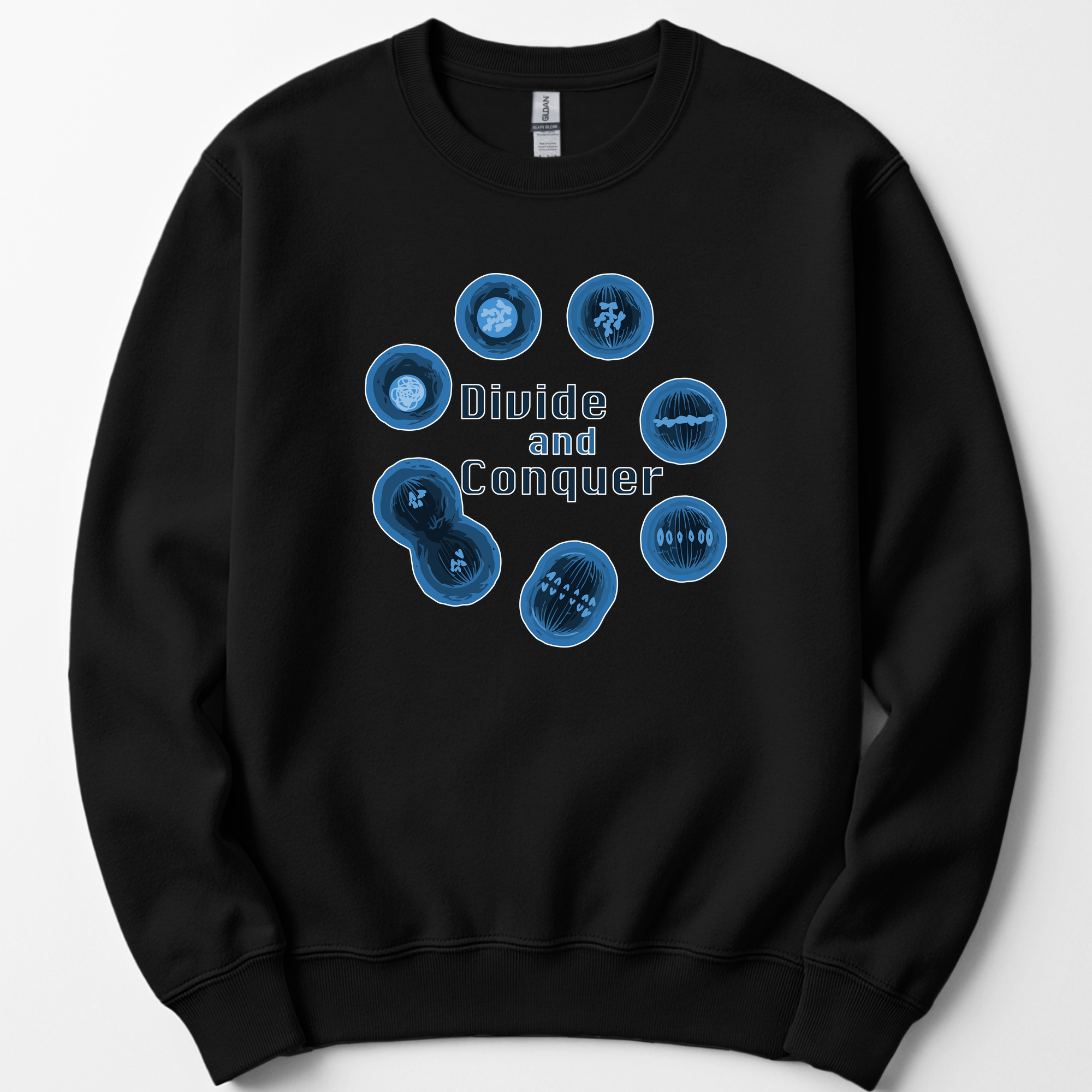 Mitosis Divide and Conquer sweatshirt — Black