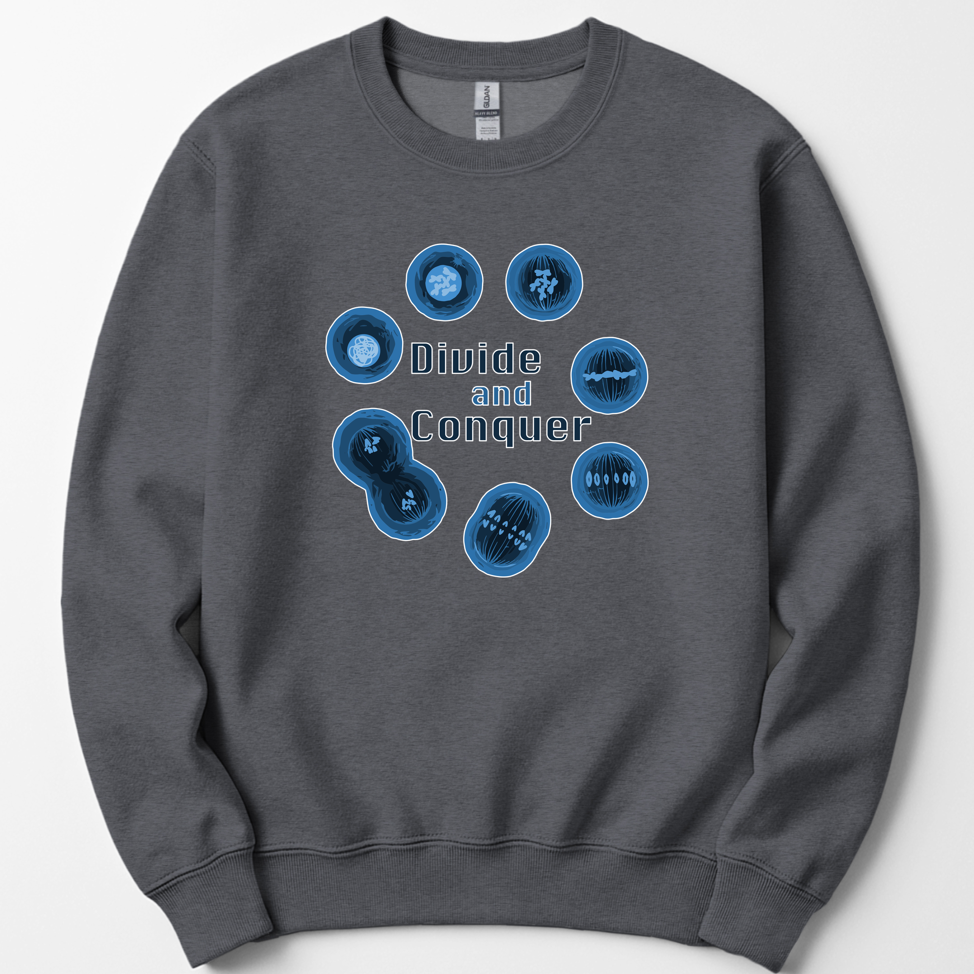 Mitosis Divide and Conquer sweatshirt — Dark Heather