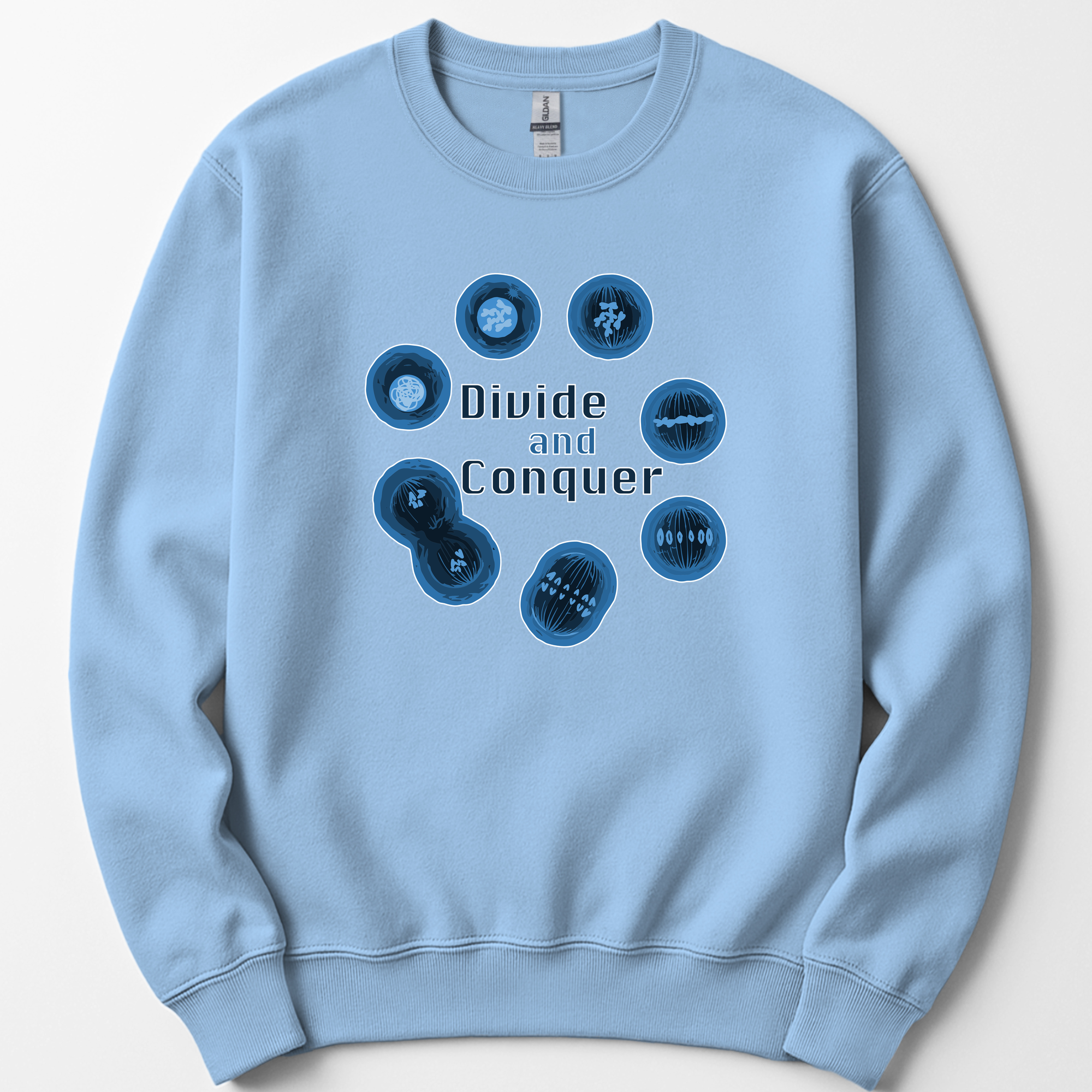 Mitosis Divide and Conquer sweatshirt — Light Blue