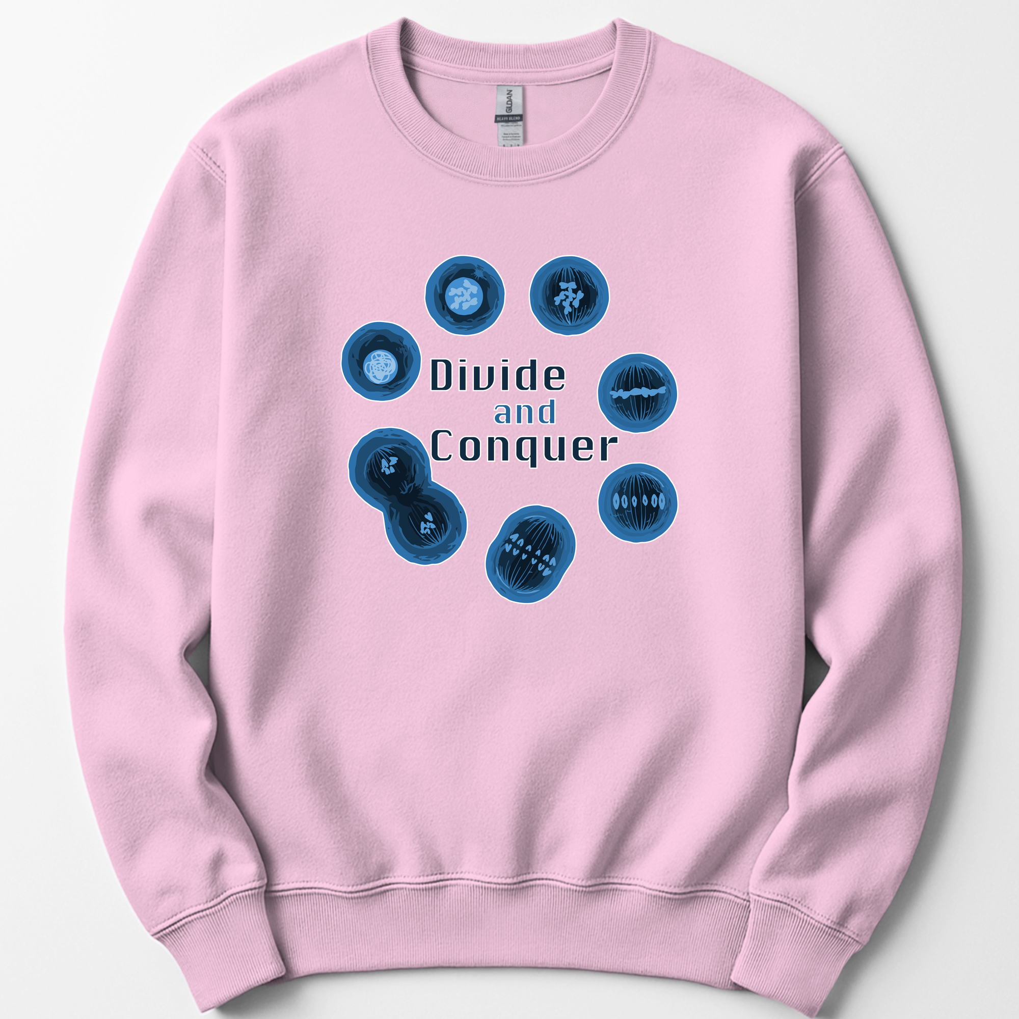Mitosis Divide and Conquer sweatshirt — Light Pink