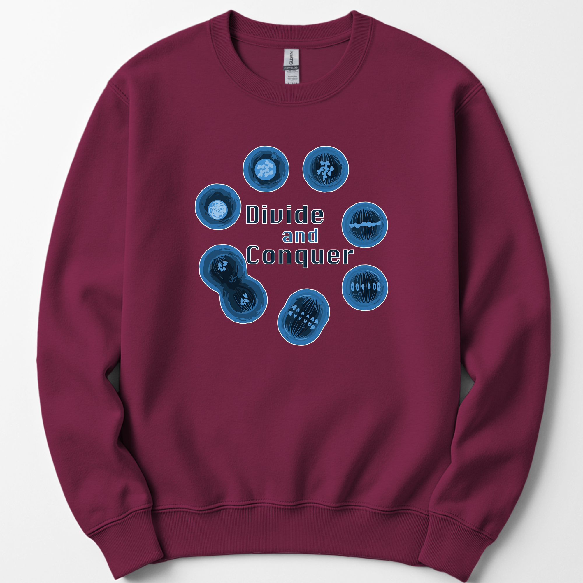Mitosis Divide and Conquer sweatshirt — Maroon