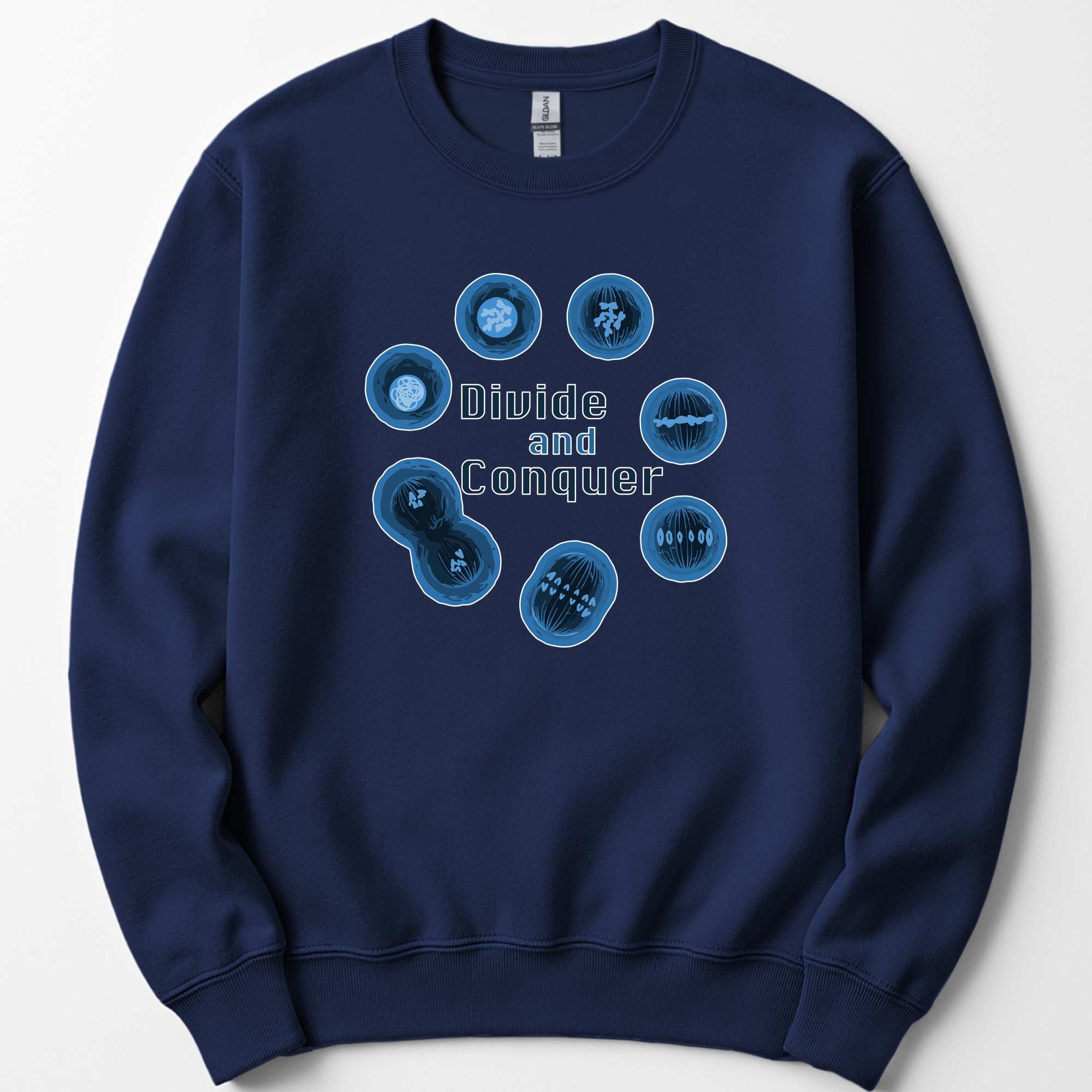 Mitosis Divide and Conquer sweatshirt — Navy