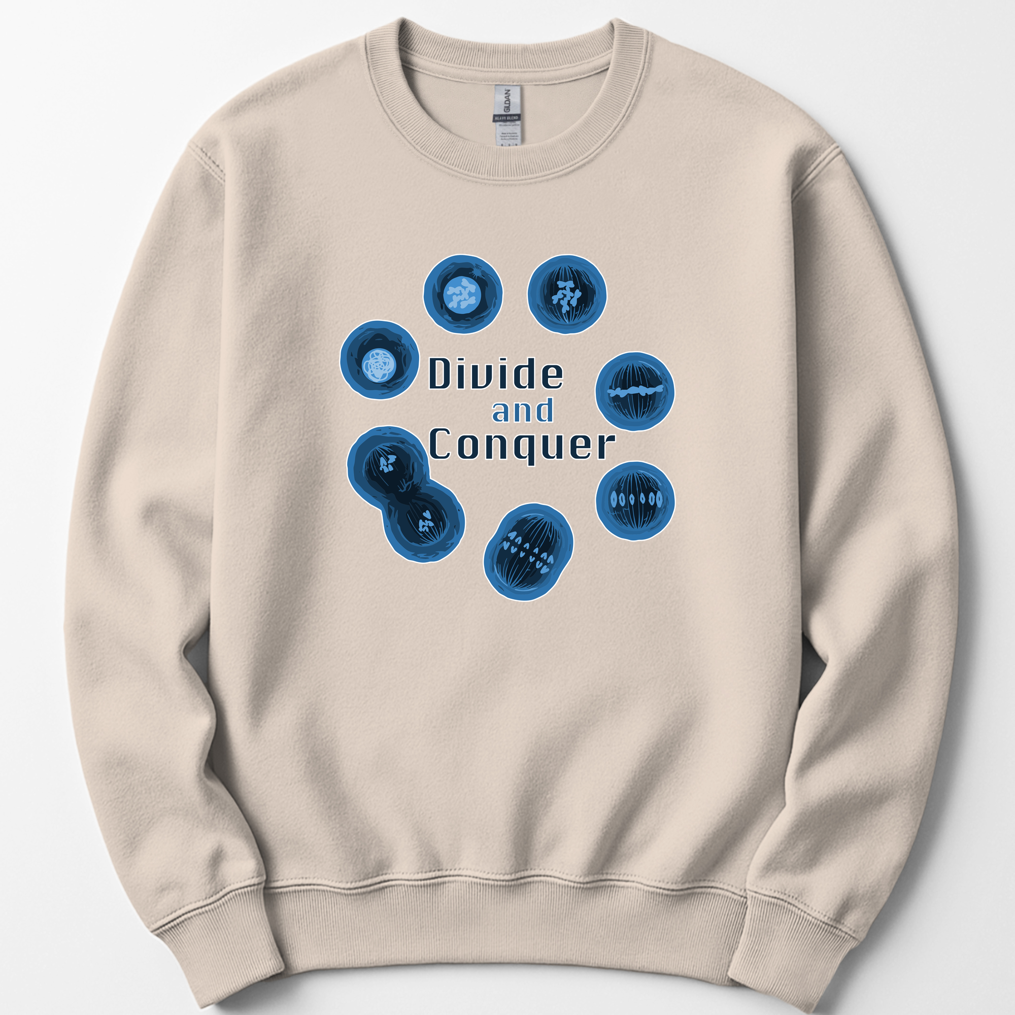 Mitosis Divide and Conquer sweatshirt — Sand