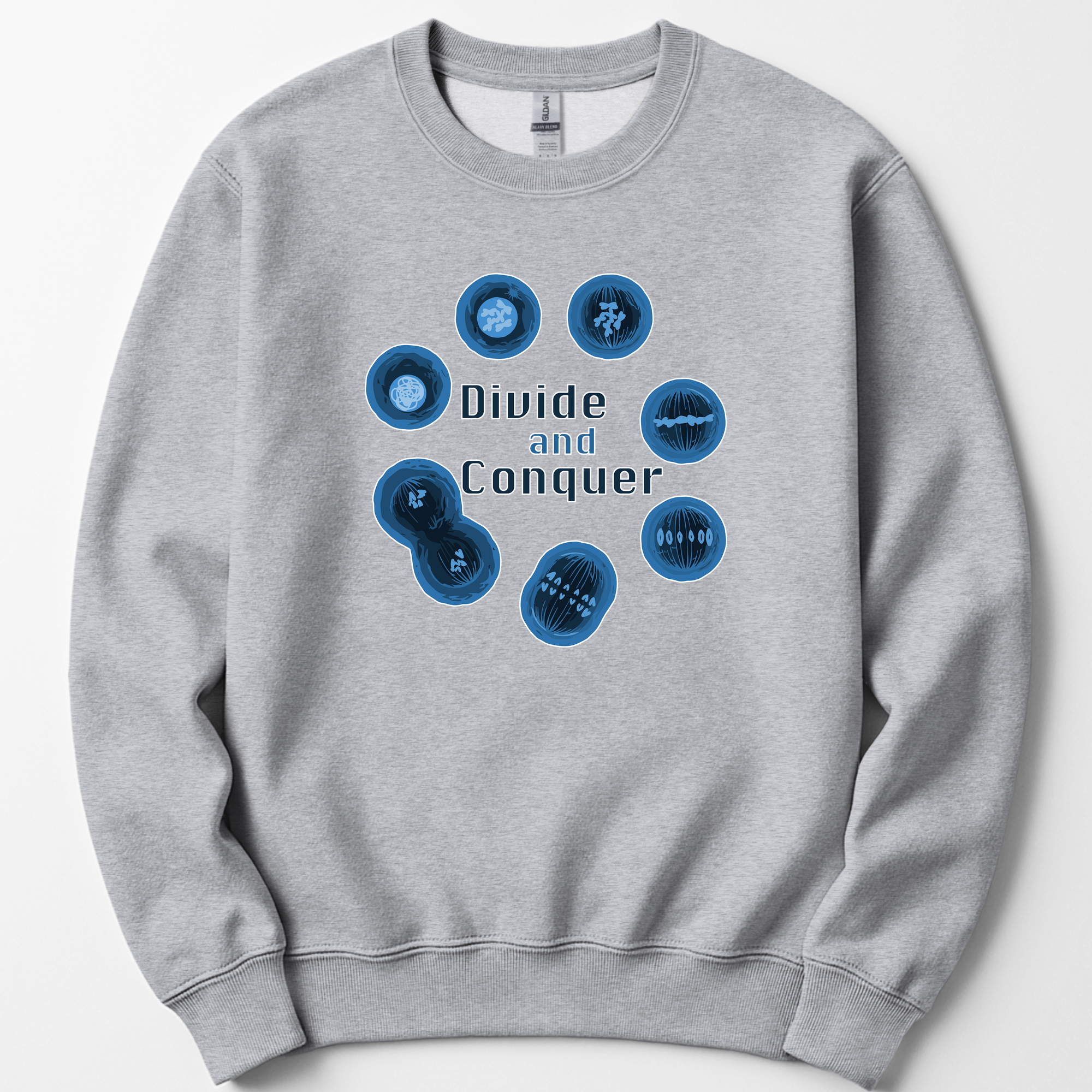 Mitosis Divide and Conquer sweatshirt — Sport Grey