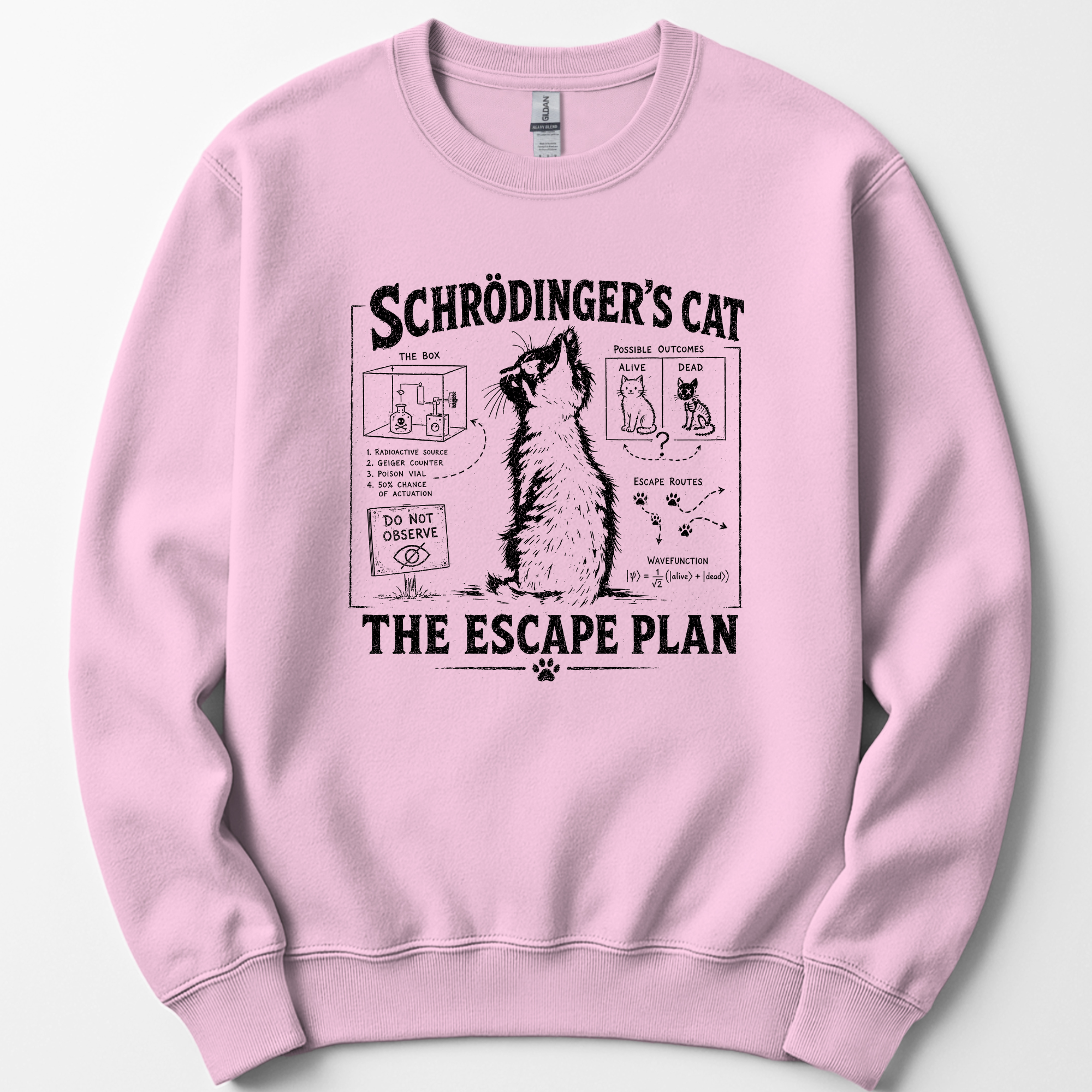 Schrödinger's Cat sweatshirt — Light Pink