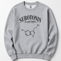 Serotonin The Mood Stabilizer sweatshirt — Sport Grey