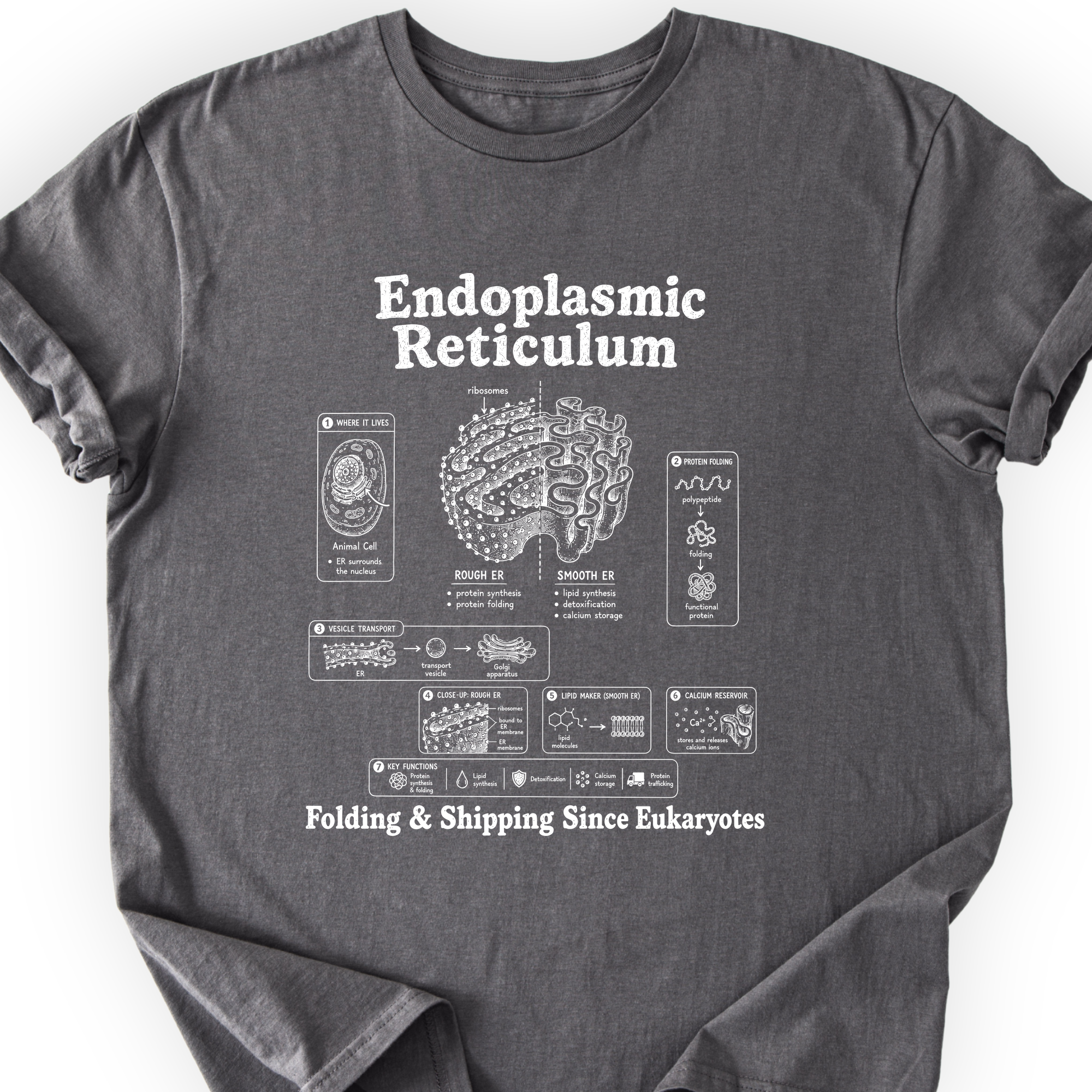 Endoplasmic Reticulum T-Shirt — Scientist Apparel