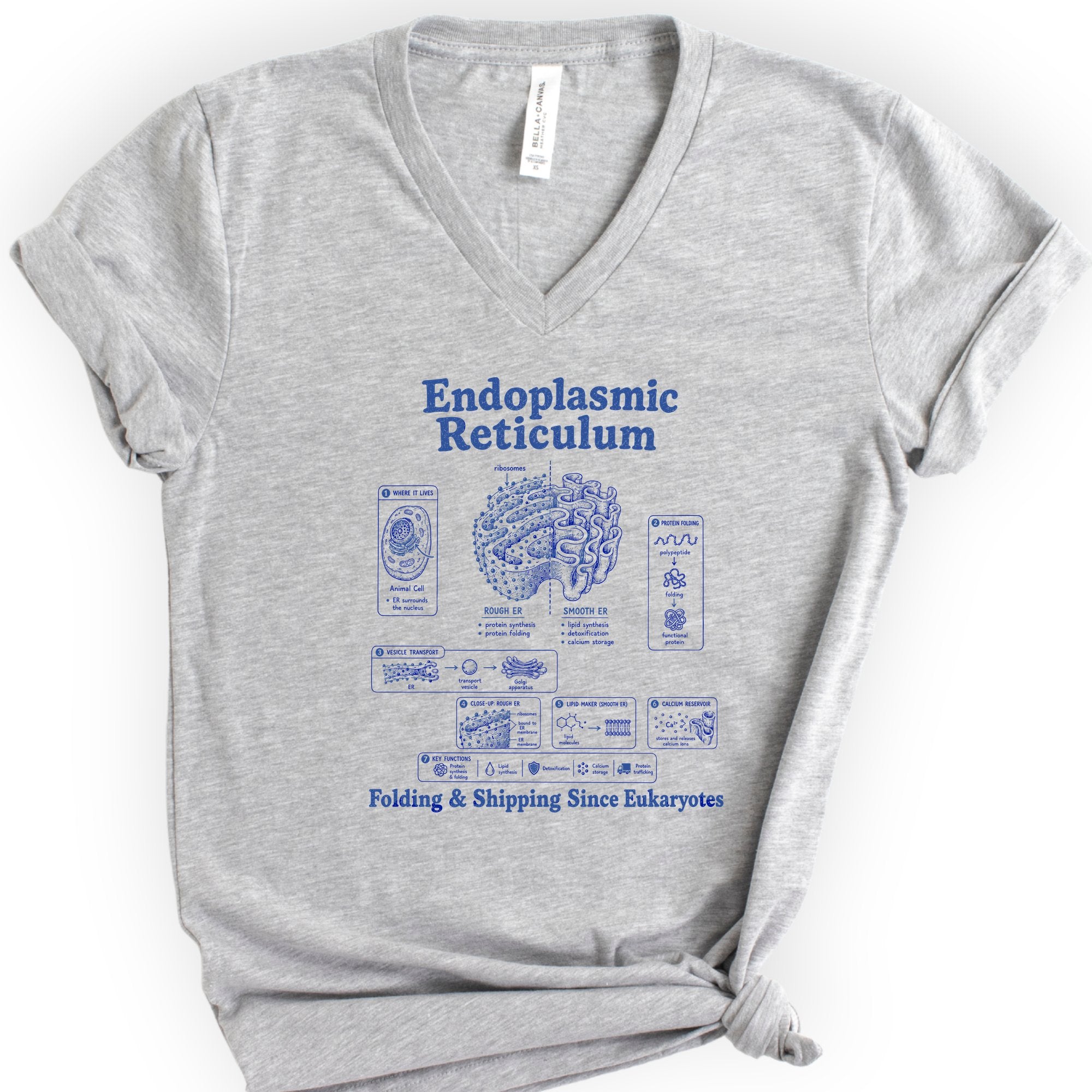 Endoplasmic Reticulum v-neck t-shirt — Athletic Heather