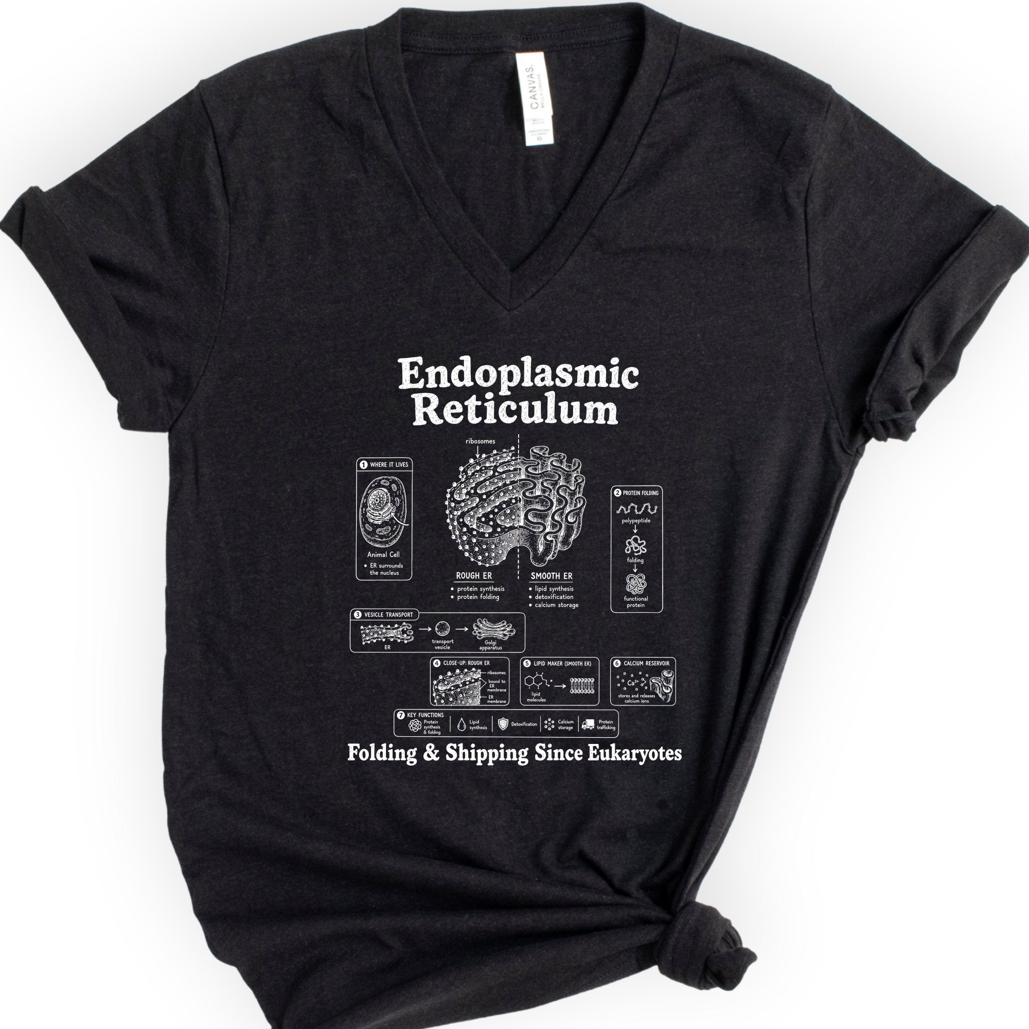 Endoplasmic Reticulum v-neck t-shirt — Black